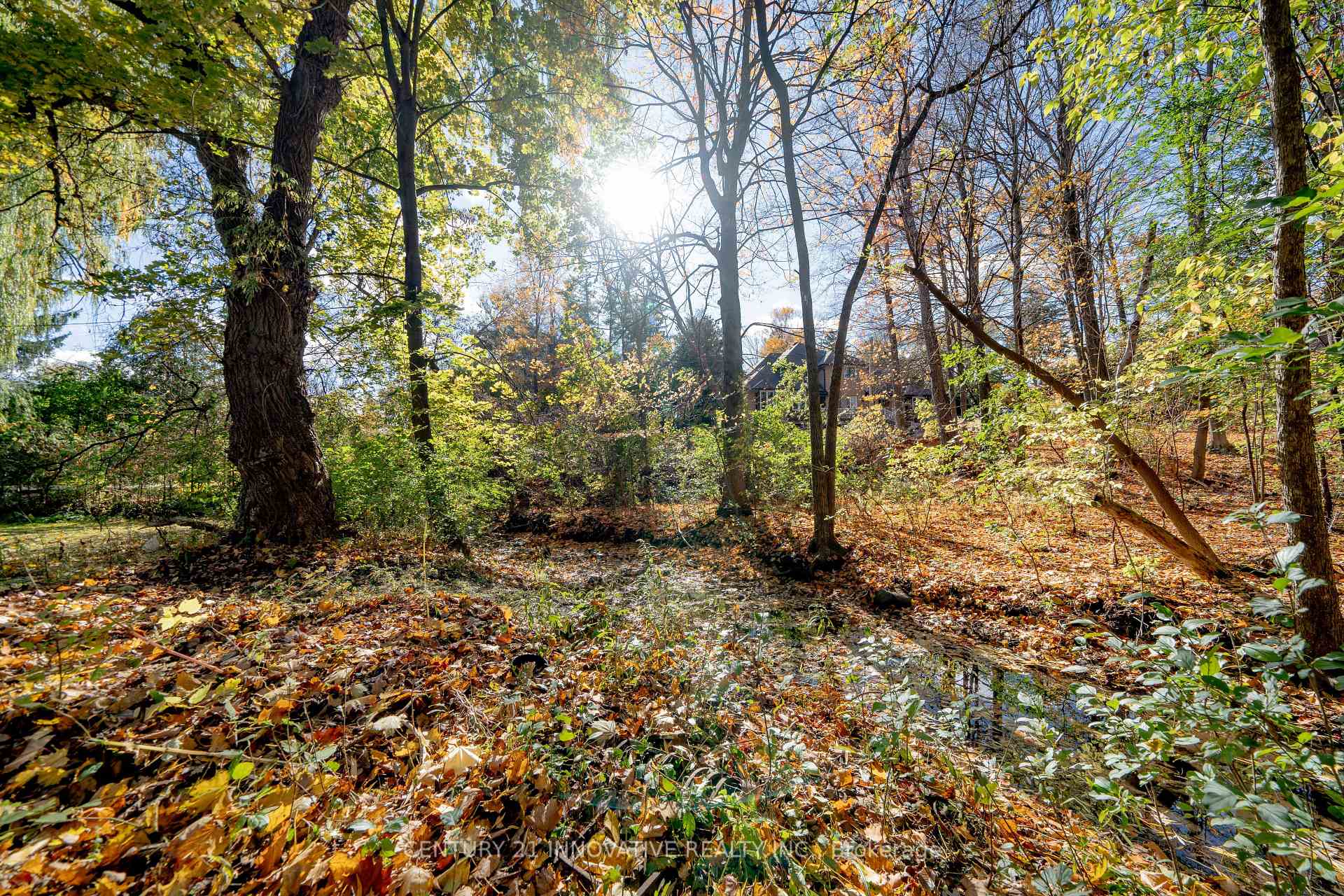 Photo 6 of 24 Cedarview Drive, Scarborough, Centennial Scarborough — HOMEH