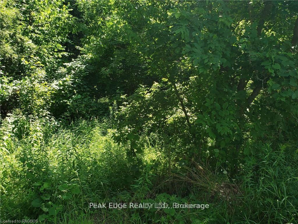Photo 3 of Part Lot 28 12 Concession S, Arran-Elderslie — HOMEH