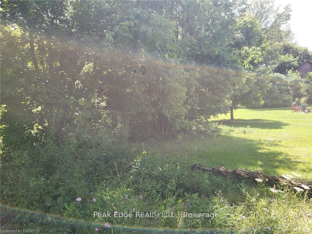 Photo 5 of Part Lot 28 12 Concession S, Arran-Elderslie — HOMEH