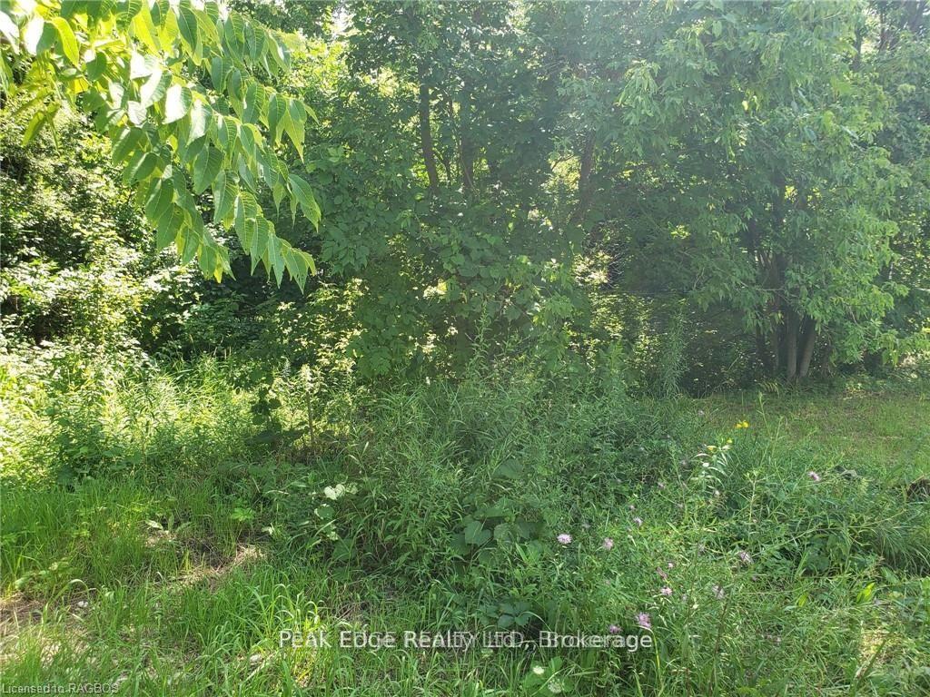 Photo 6 of Part Lot 28 12 Concession S, Arran-Elderslie — HOMEH