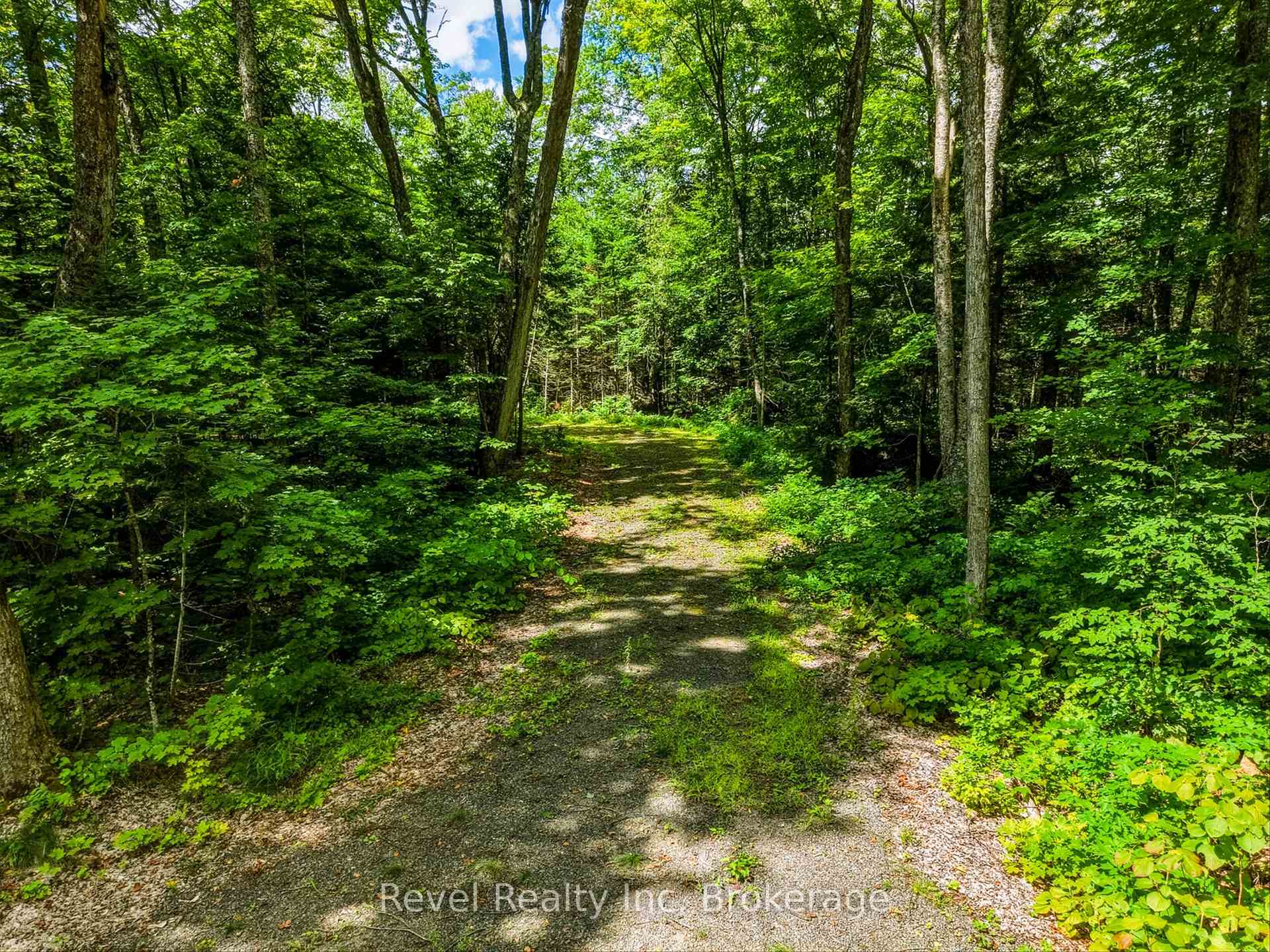 Photo 6 of 1054 Bird Lake Road, Bracebridge, Oakley — HOMEH