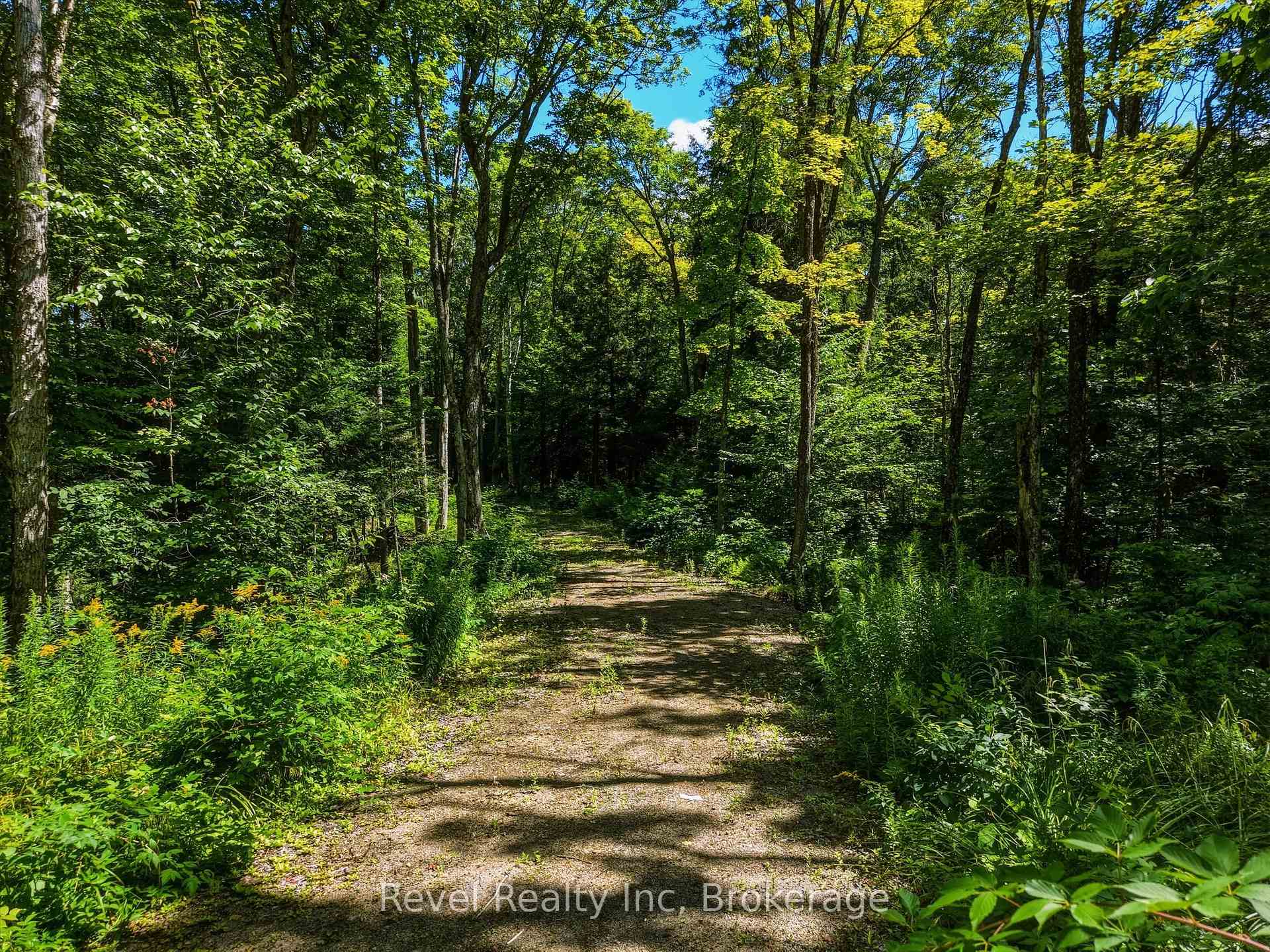 Photo 7 of 1054 Bird Lake Road, Bracebridge, Oakley — HOMEH