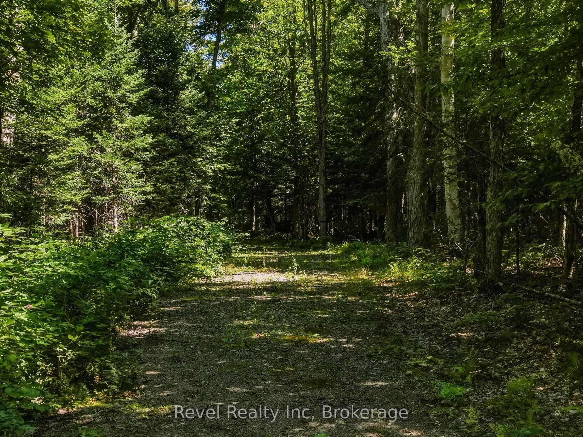 Photo 10 of 1054 Bird Lake Road, Bracebridge, Oakley — HOMEH