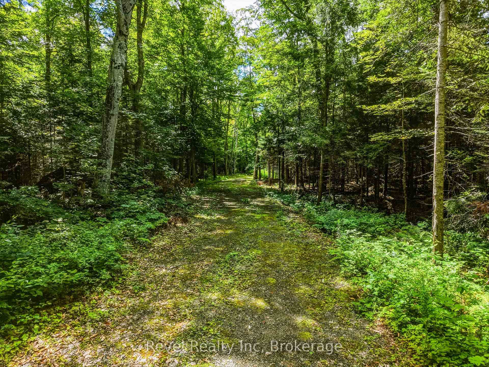 Photo 11 of 1054 Bird Lake Road, Bracebridge, Oakley — HOMEH