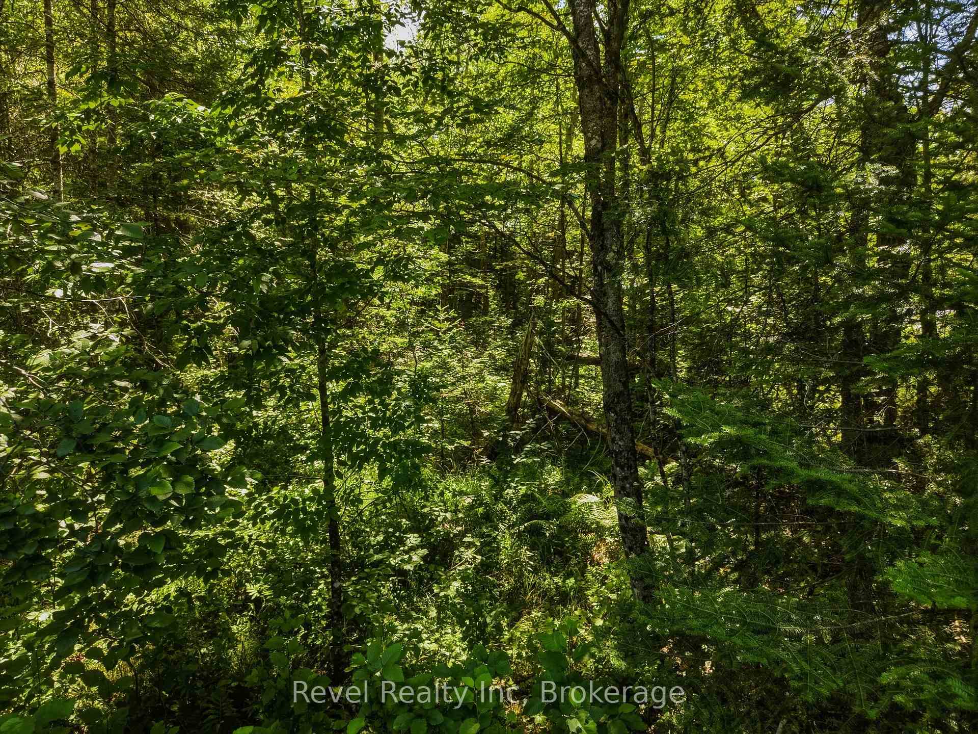 Photo 18 of 1054 Bird Lake Road, Bracebridge, Oakley — HOMEH