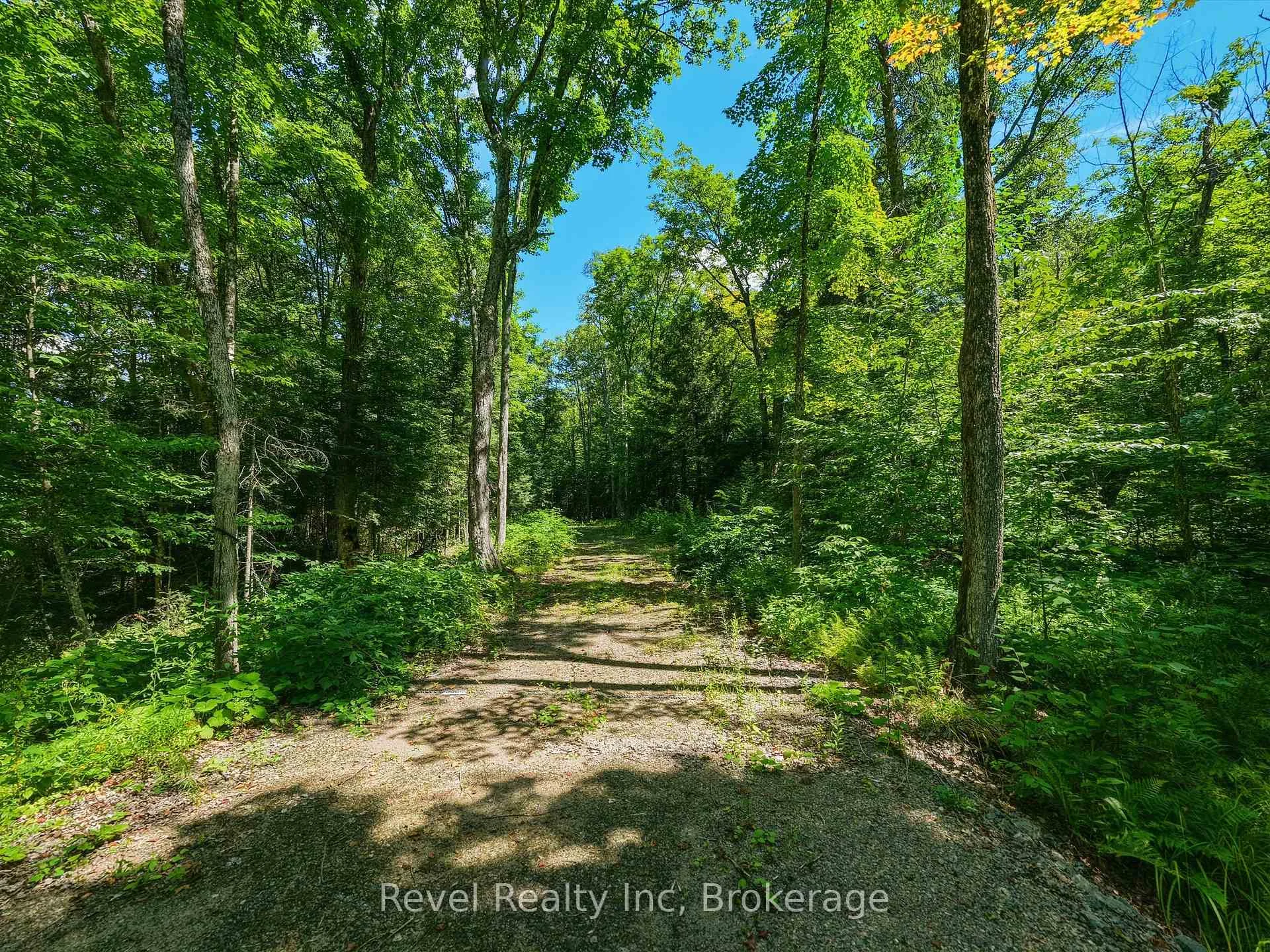 Photo 17 of 1054 Bird Lake Road, Bracebridge, Oakley — HOMEH