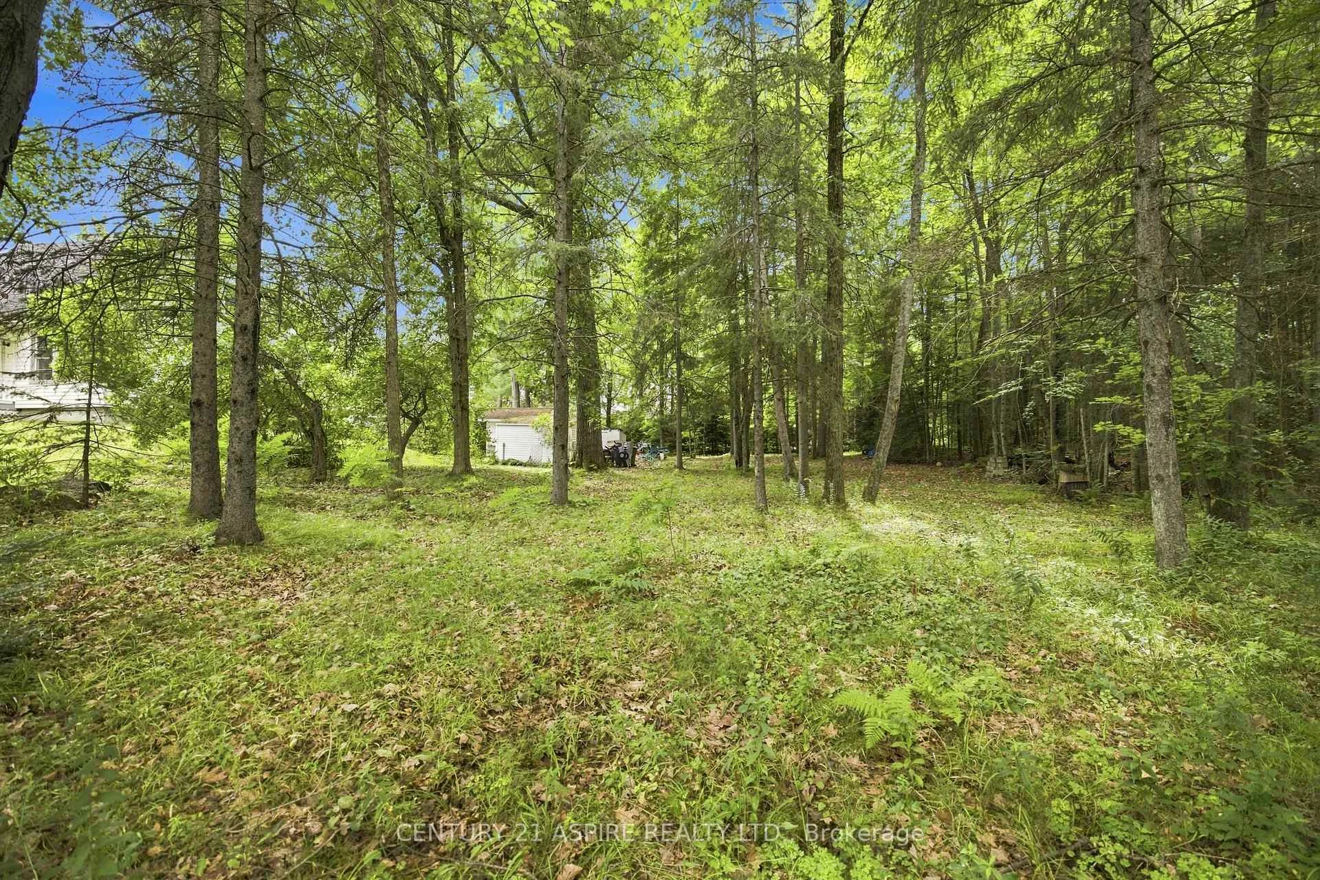 Photo 49 of 2583 B Line Road, Laurentian Valley, Laurentian Valley — HOMEH
