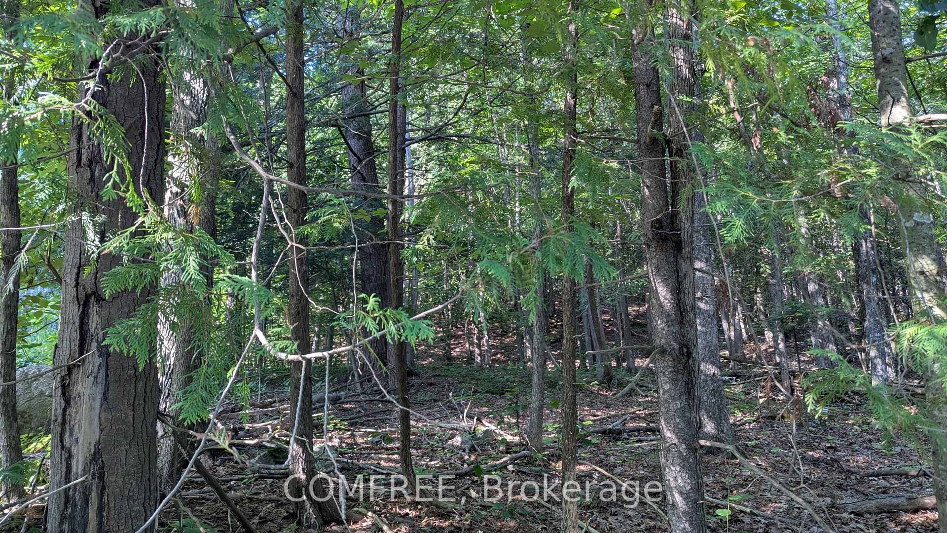 Photo 2 of 4853 Opeongo Road, Ottawa, Woodlawn/Maclarens Landing/Kilmaurs — HOMEH