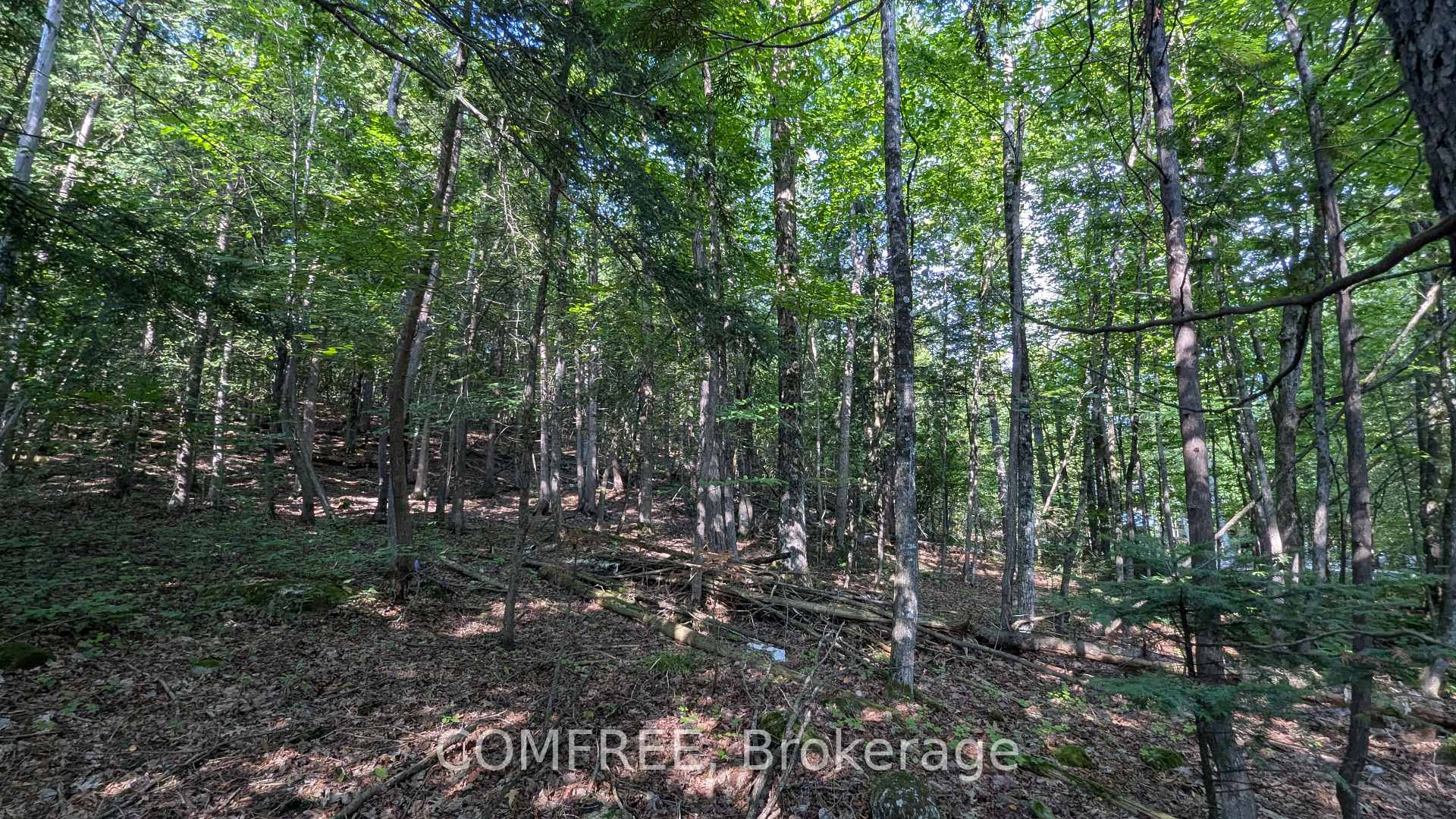 Photo 3 of 4853 Opeongo Road, Ottawa, Woodlawn/Maclarens Landing/Kilmaurs — HOMEH
