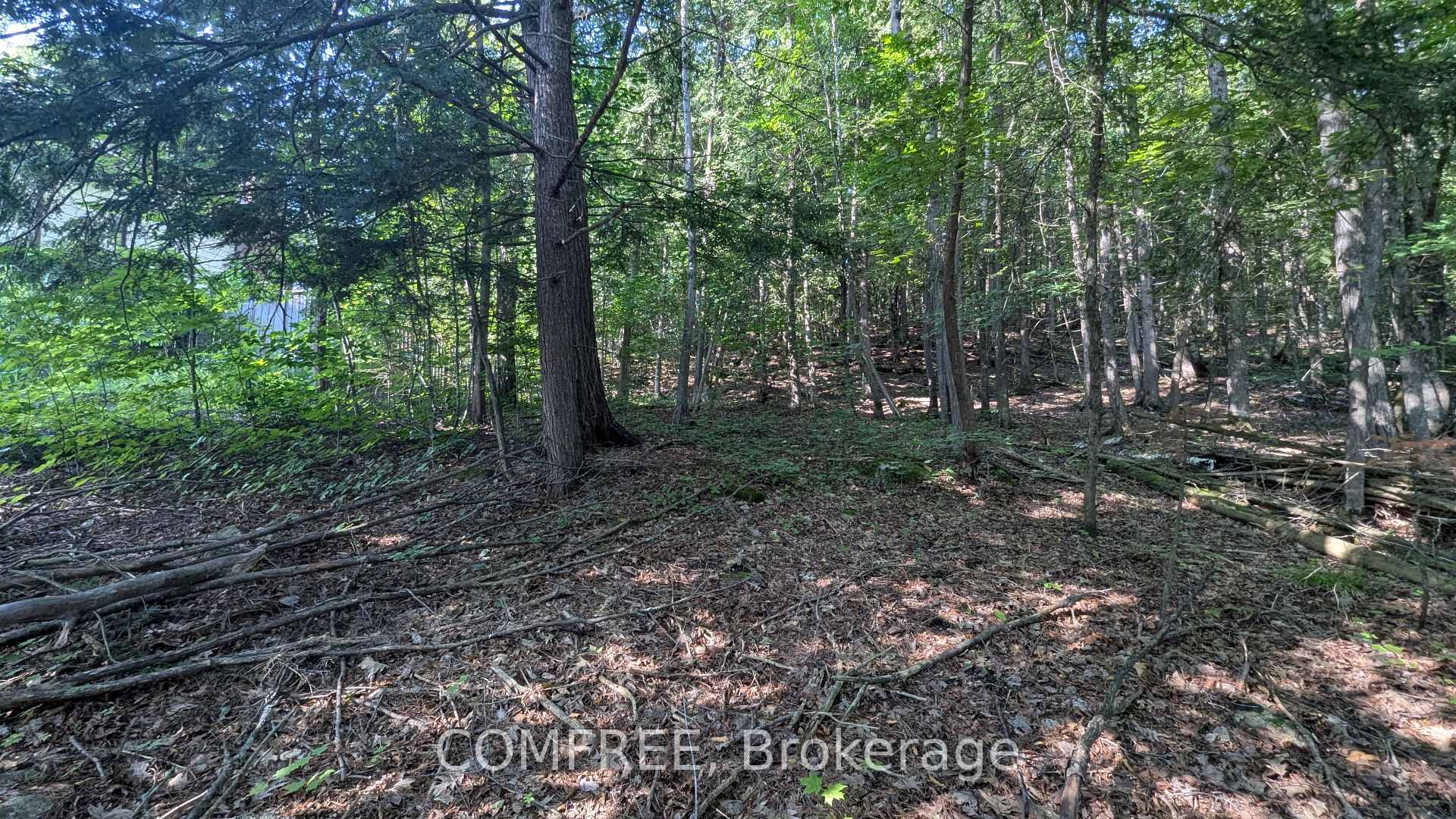 Photo 4 of 4853 Opeongo Road, Ottawa, Woodlawn/Maclarens Landing/Kilmaurs — HOMEH