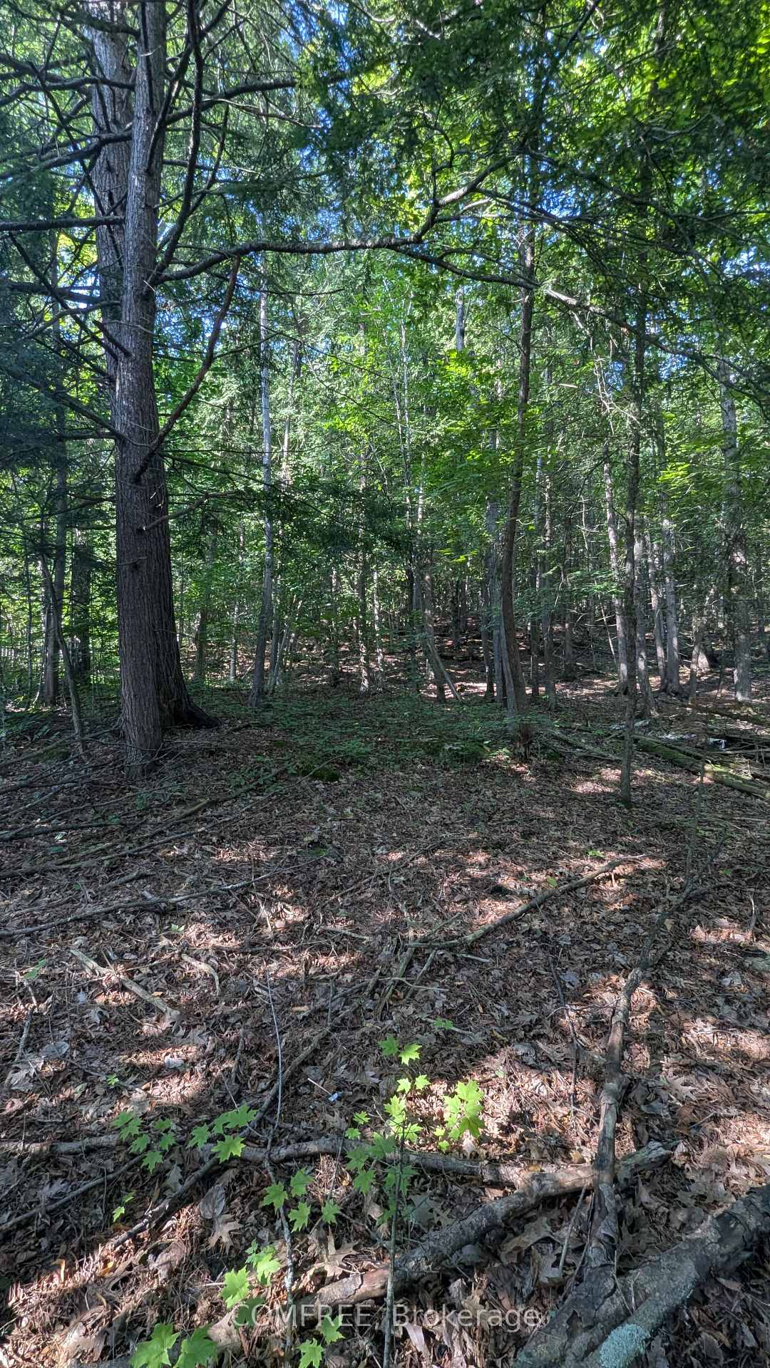 Photo 5 of 4853 Opeongo Road, Ottawa, Woodlawn/Maclarens Landing/Kilmaurs — HOMEH