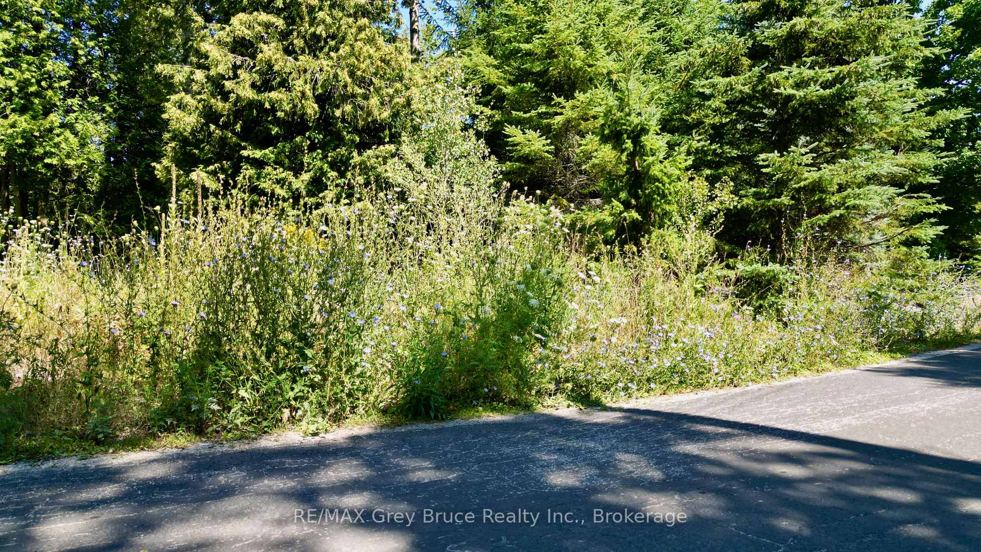 Photo 6 of 55 Whippoorwill Road, Northern Bruce Peninsula — HOMEH