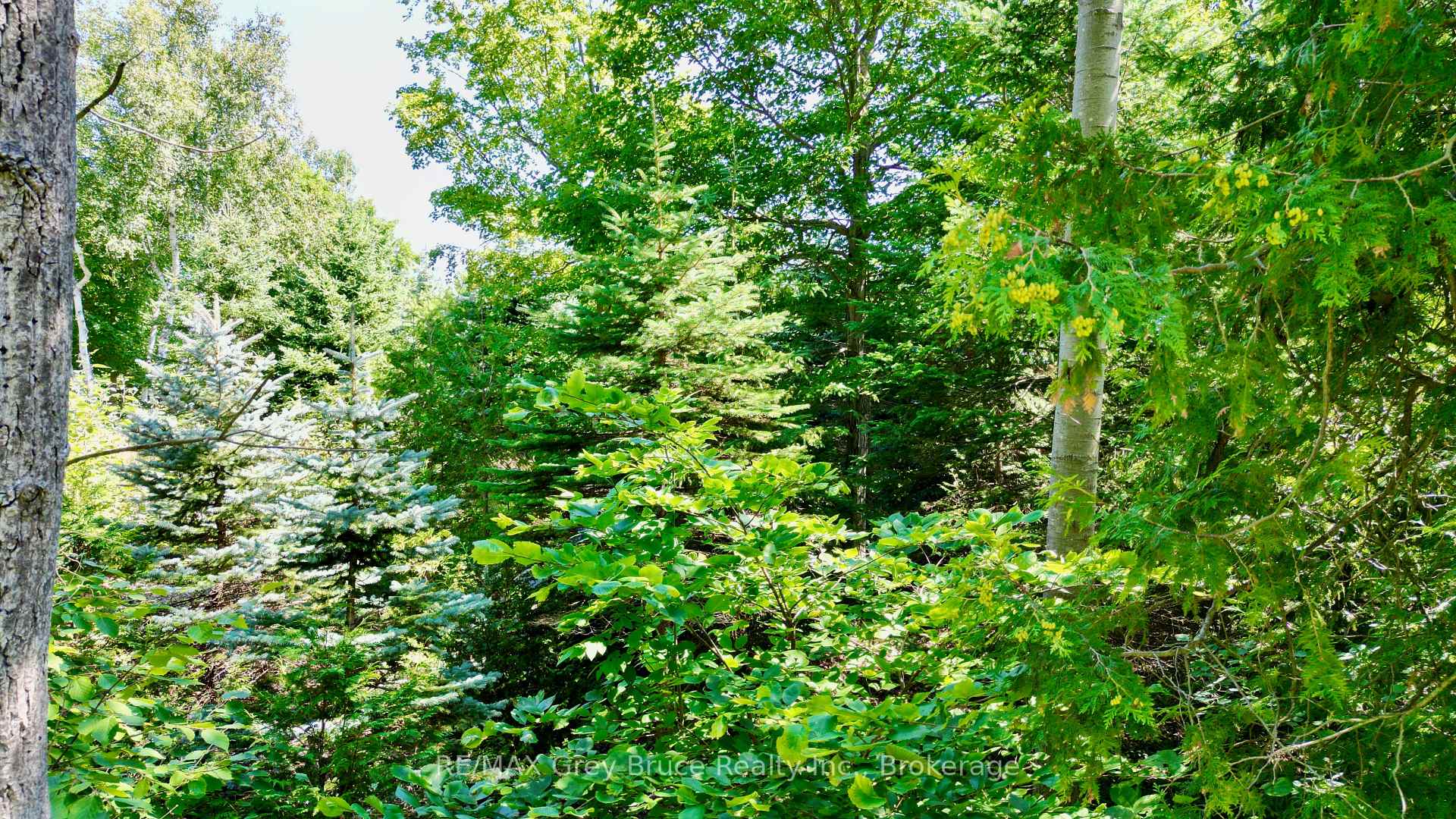 Photo 7 of 55 Whippoorwill Road, Northern Bruce Peninsula — HOMEH