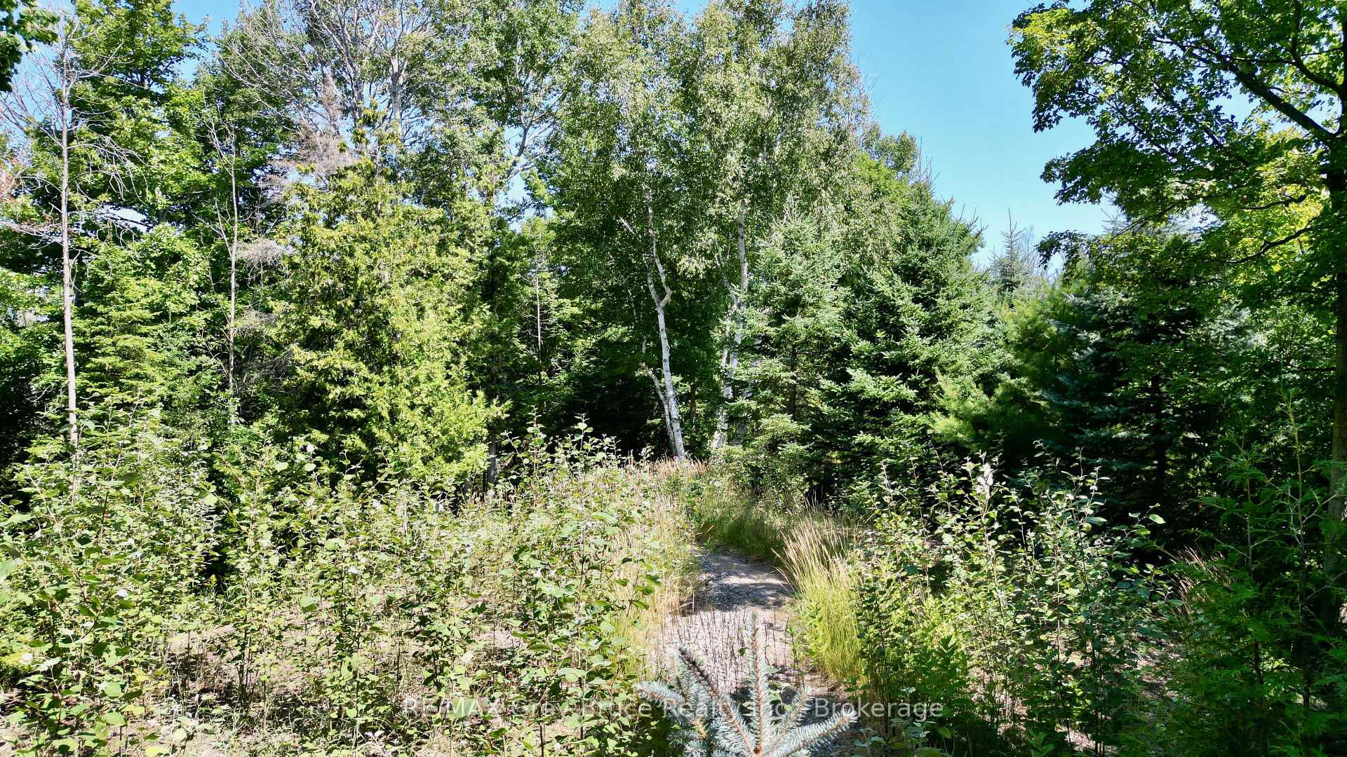 Photo 10 of 55 Whippoorwill Road, Northern Bruce Peninsula — HOMEH