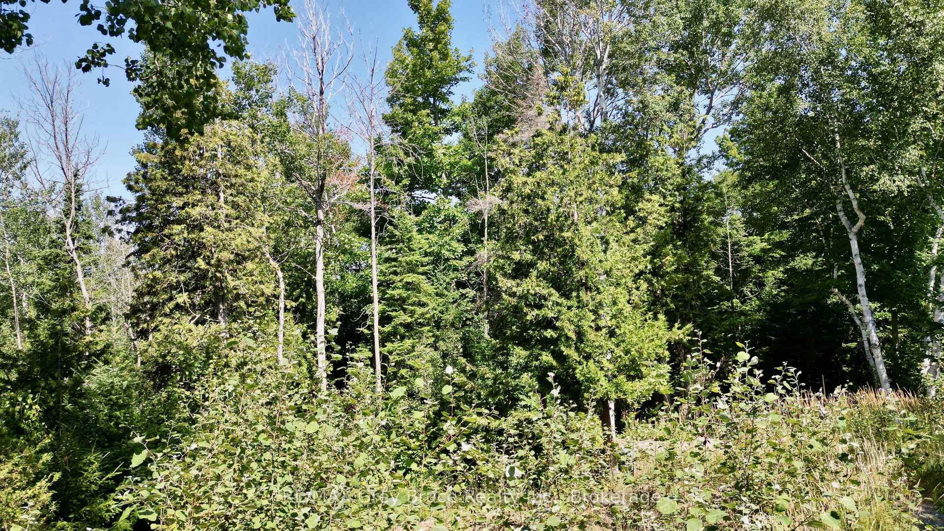 Photo 11 of 55 Whippoorwill Road, Northern Bruce Peninsula — HOMEH