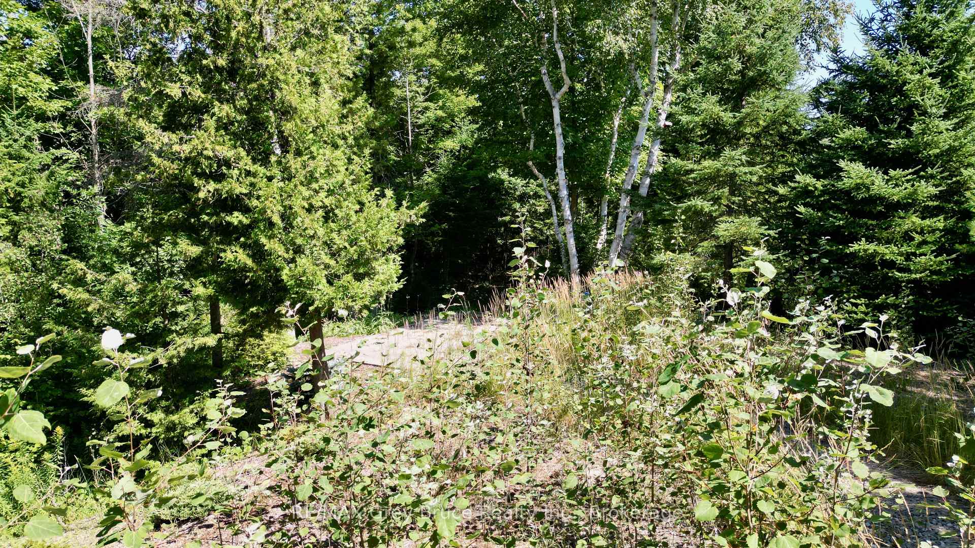 Photo 12 of 55 Whippoorwill Road, Northern Bruce Peninsula — HOMEH