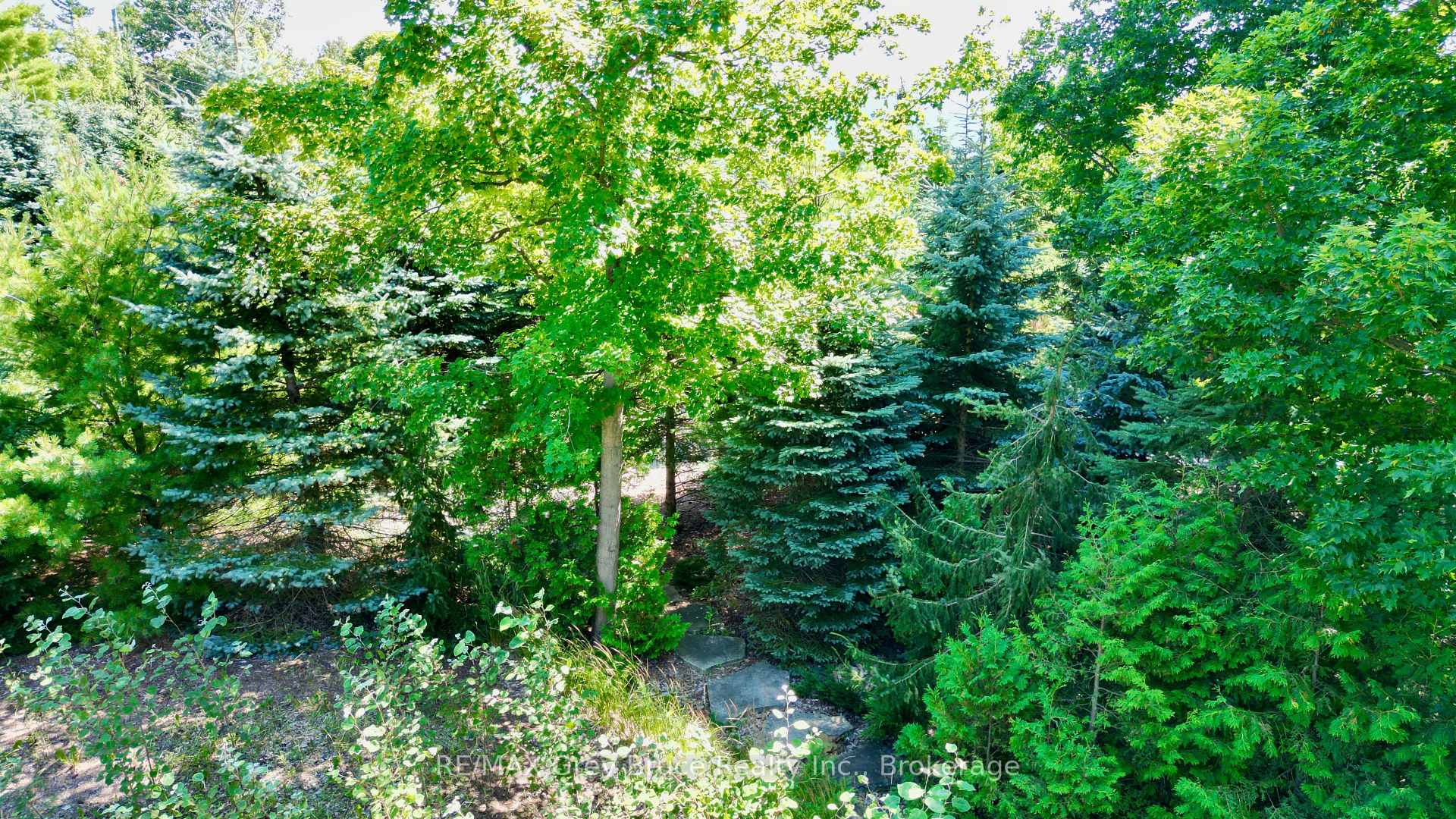Photo 13 of 55 Whippoorwill Road, Northern Bruce Peninsula — HOMEH