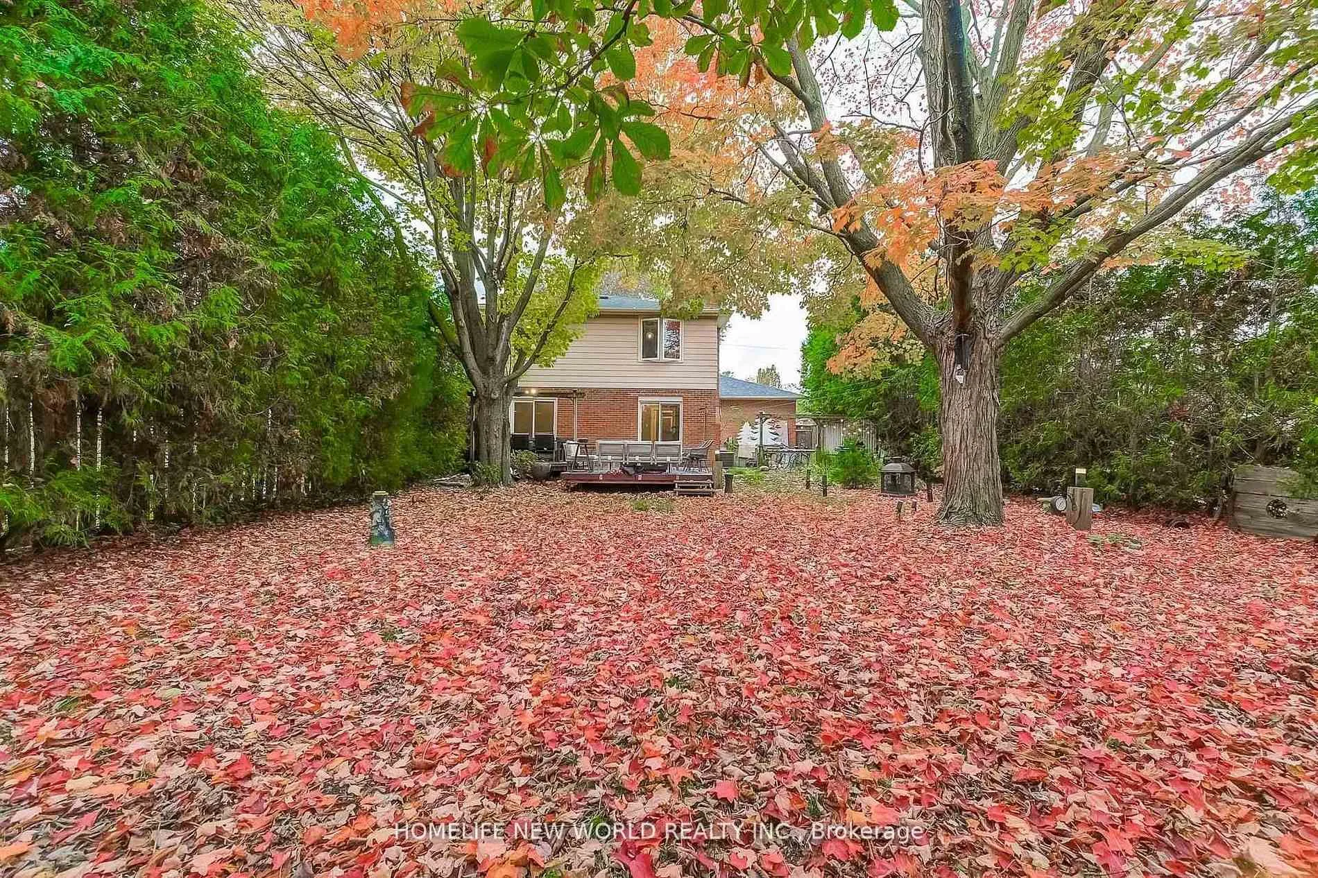 Photo 45 of 59 Bobmar Road, Scarborough, Highland Creek — HOMEH