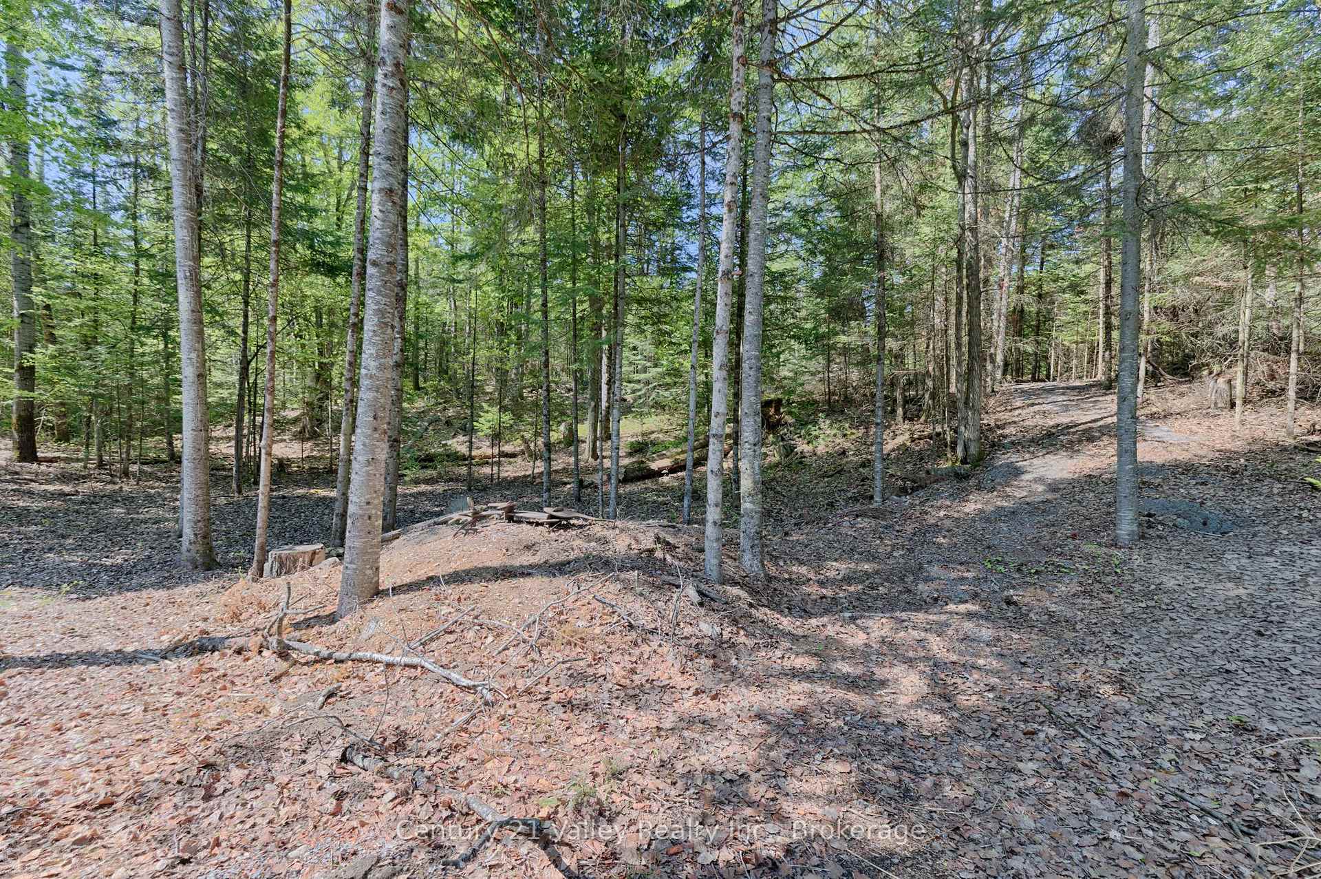 Photo 4 of 593 Inglis Road, Greater Madawaska, Greater Madawaska — HOMEH