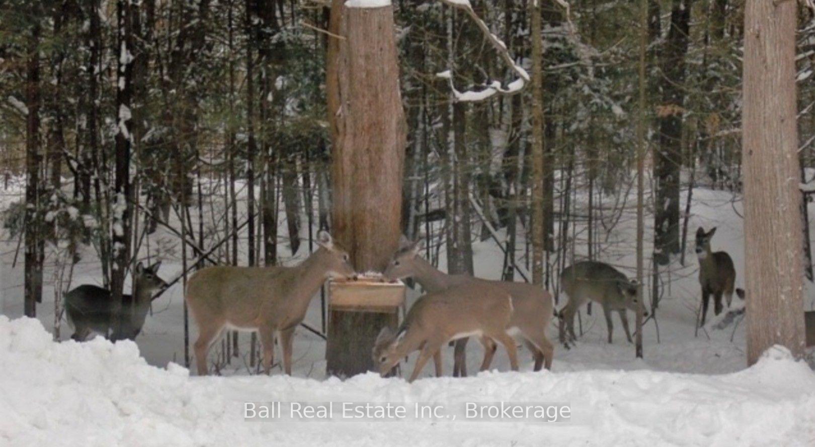 Photo 43 of 2933 Ayotte's Point Lane, Selwyn — HOMEH