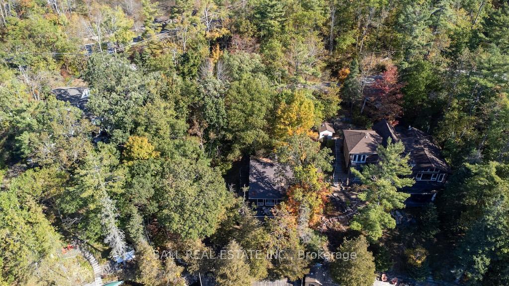 Photo 5 of 12 Bedwell Drive, North Kawartha — HOMEH