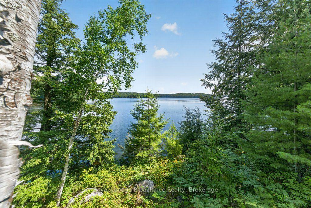 Photo 41 of 3310 Shabomeka Lake, Frontenac, Frontenac North — HOMEH