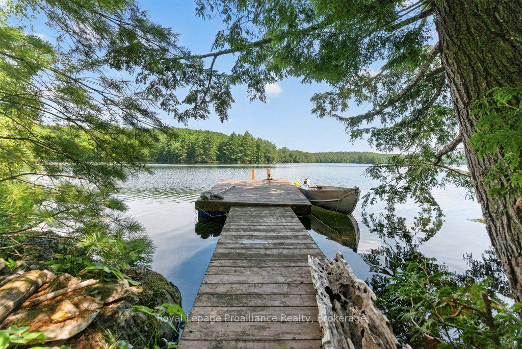 Photo 45 of 3310 Shabomeka Lake, Frontenac, Frontenac North — HOMEH