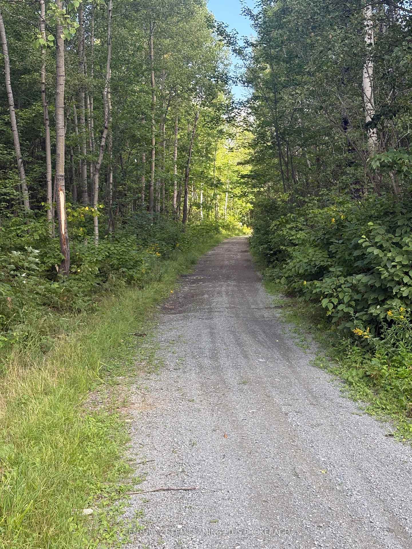 Photo 25 of 974381 Highway 567, Timmins, TCTDAR Outside — HOMEH