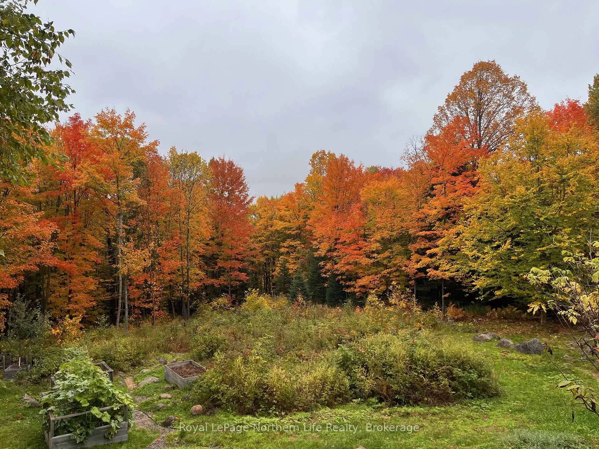 Photo 44 of 472 O'connor Line, Powassan — HOMEH
