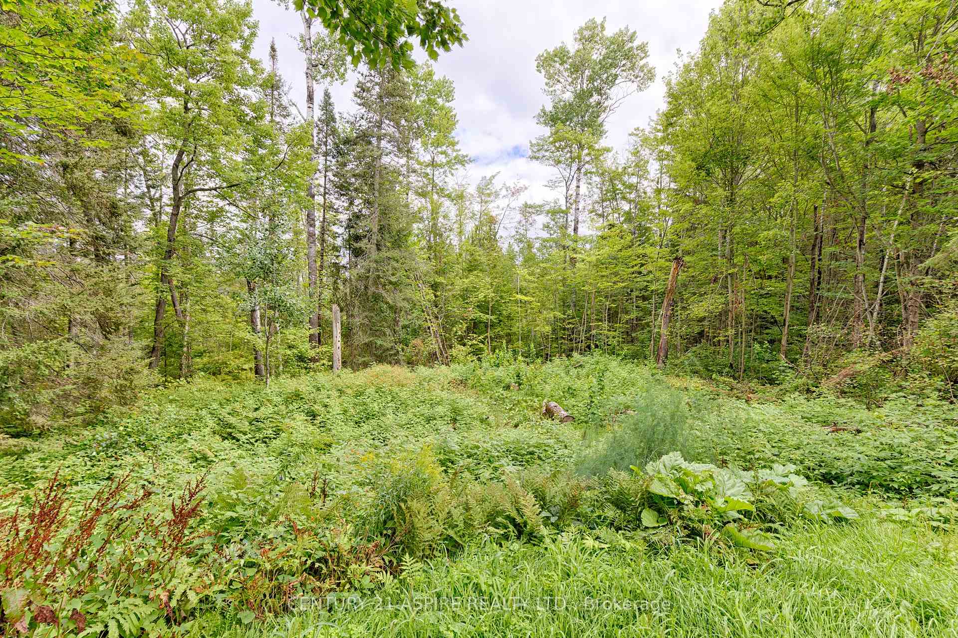 Photo 40 of 32868 Highway 17, Deep River, Deep River — HOMEH