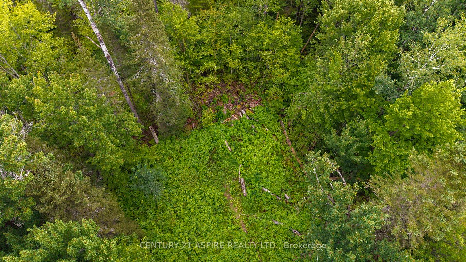 Photo 48 of 32868 Highway 17, Deep River, Deep River — HOMEH