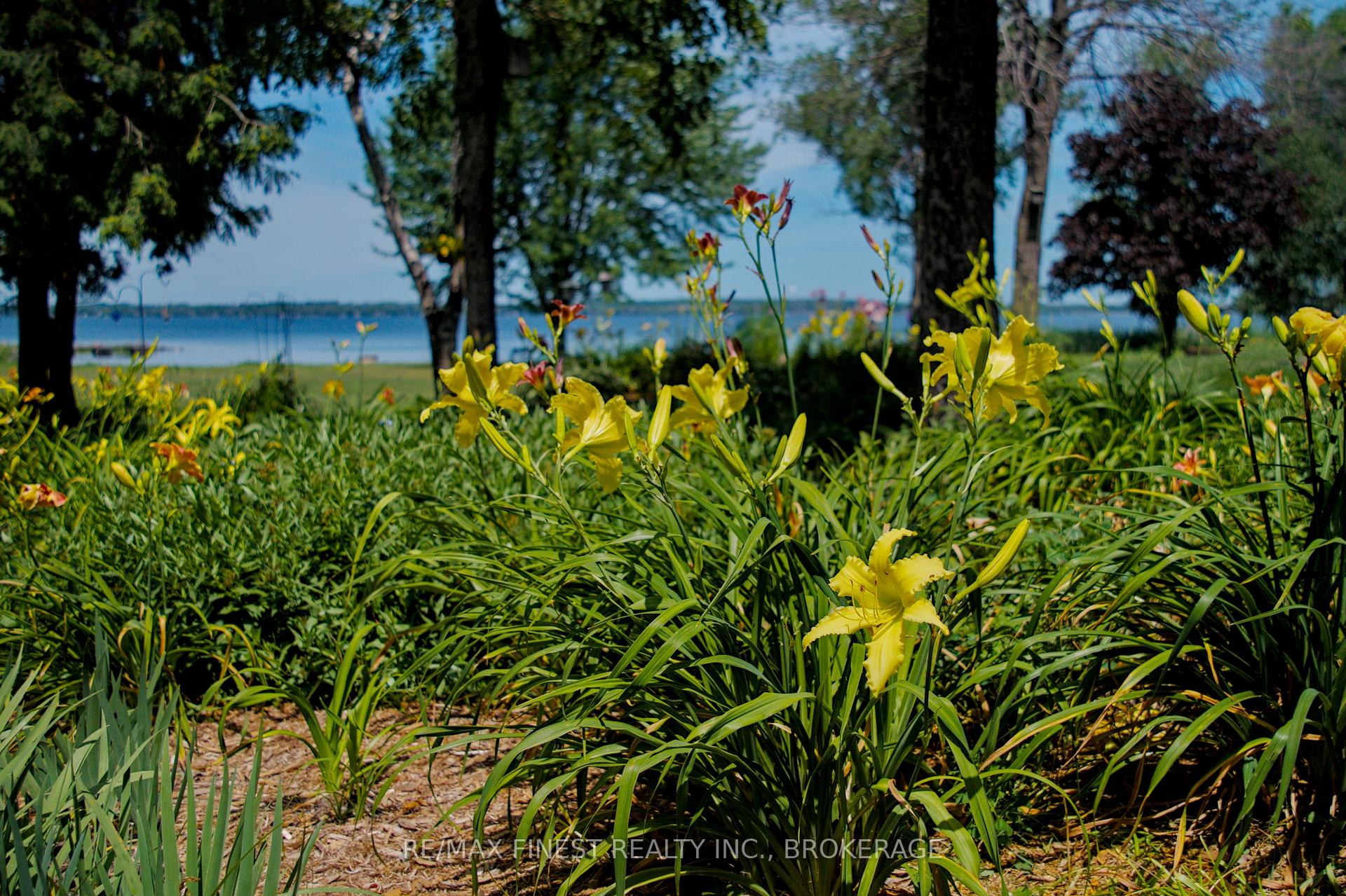 Photo 44 of 10930 Front Road, Loyalist, Amherst Island — HOMEH