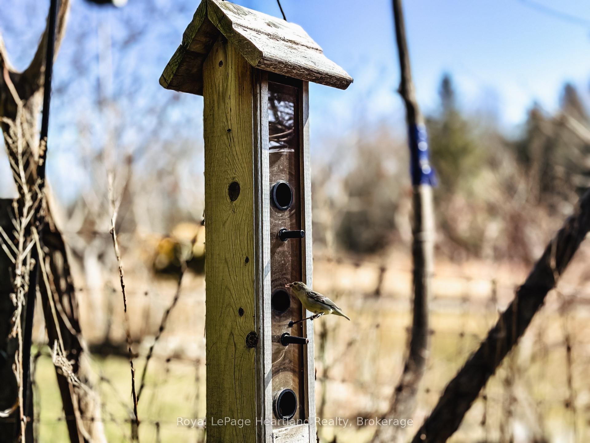 Photo 44 of 9 Maple Lane, Ashfield-Colborne-Wawanosh, Ashfield — HOMEH