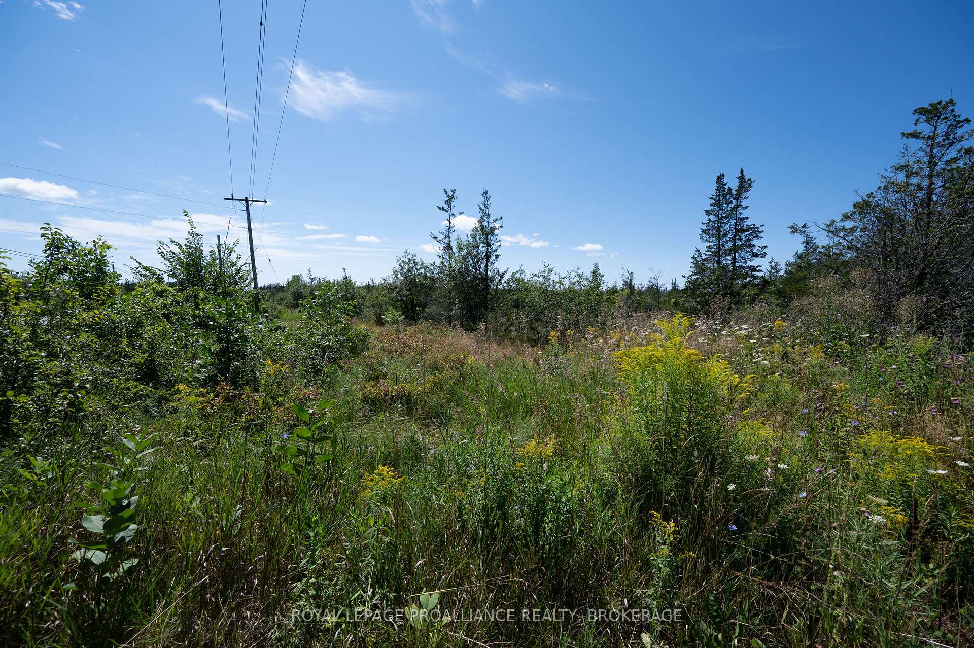 Photo 7 of 1707 County Road 2, Prince Edward County, Hillier Ward — HOMEH