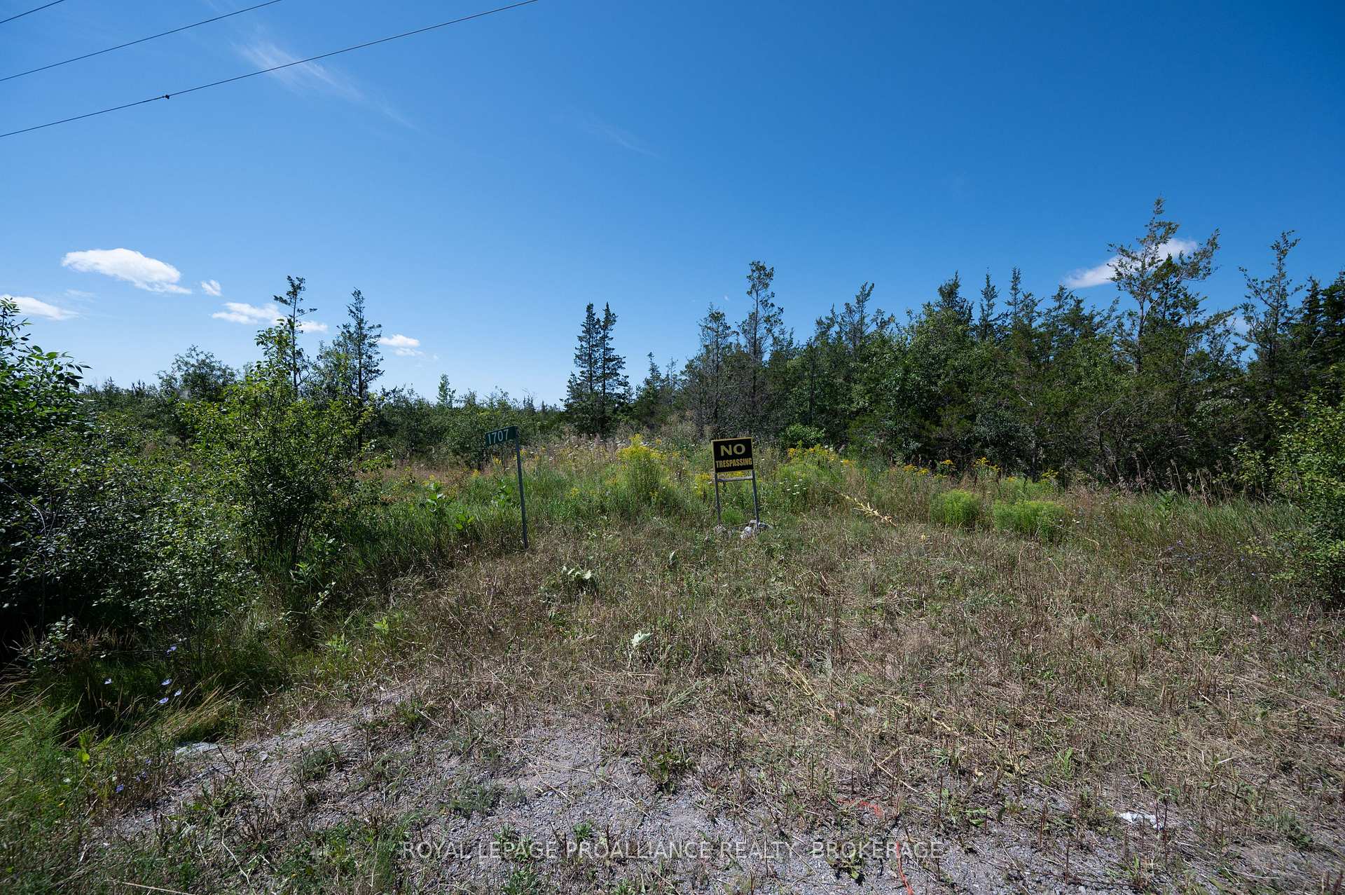 Photo 8 of 1707 County Road 2, Prince Edward County, Hillier Ward — HOMEH