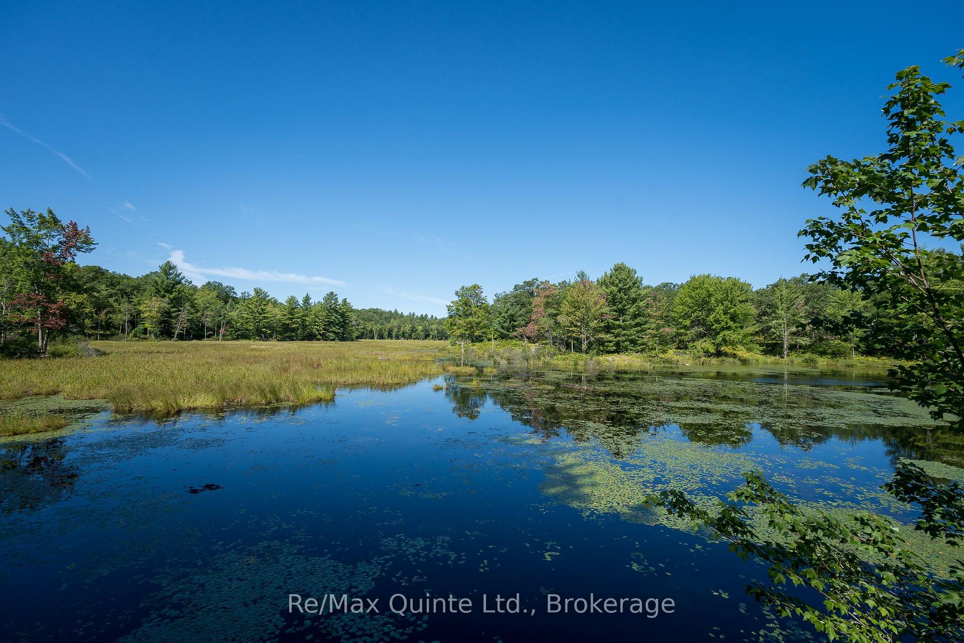 Photo 46 of 1477 Sulphide Road, Tweed, Hungerford (Twp) — HOMEH