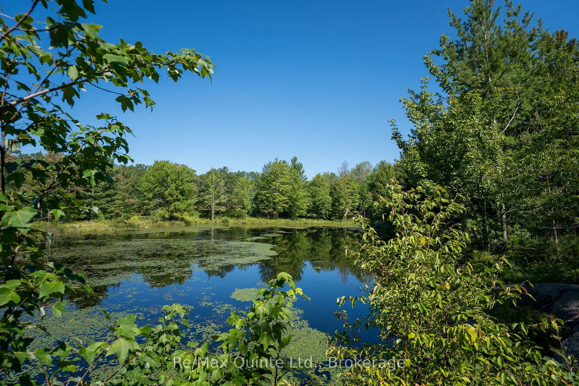 Photo 47 of 1477 Sulphide Road, Tweed, Hungerford (Twp) — HOMEH