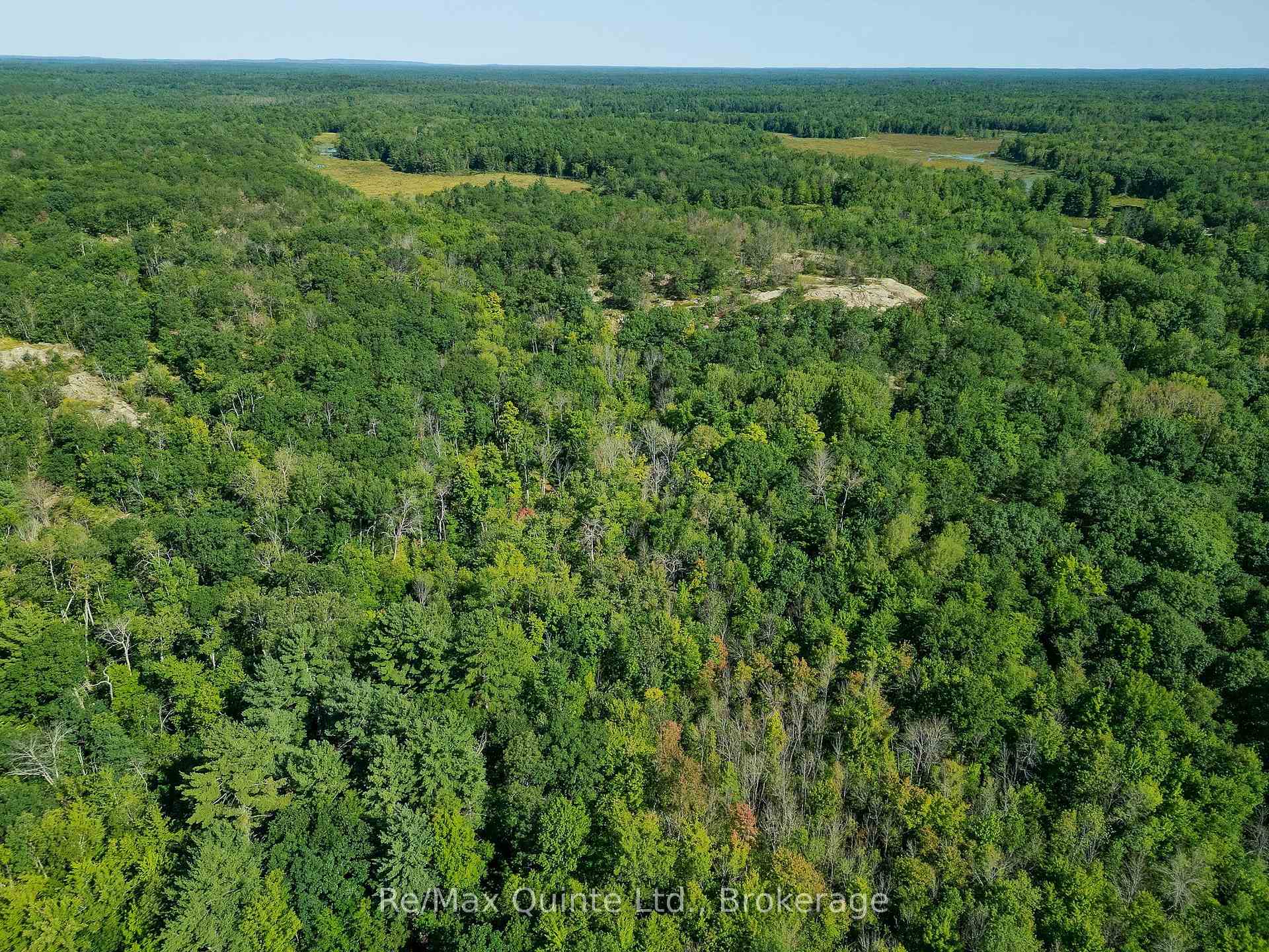 Photo 57 of 1477 Sulphide Road, Tweed, Hungerford (Twp) — HOMEH