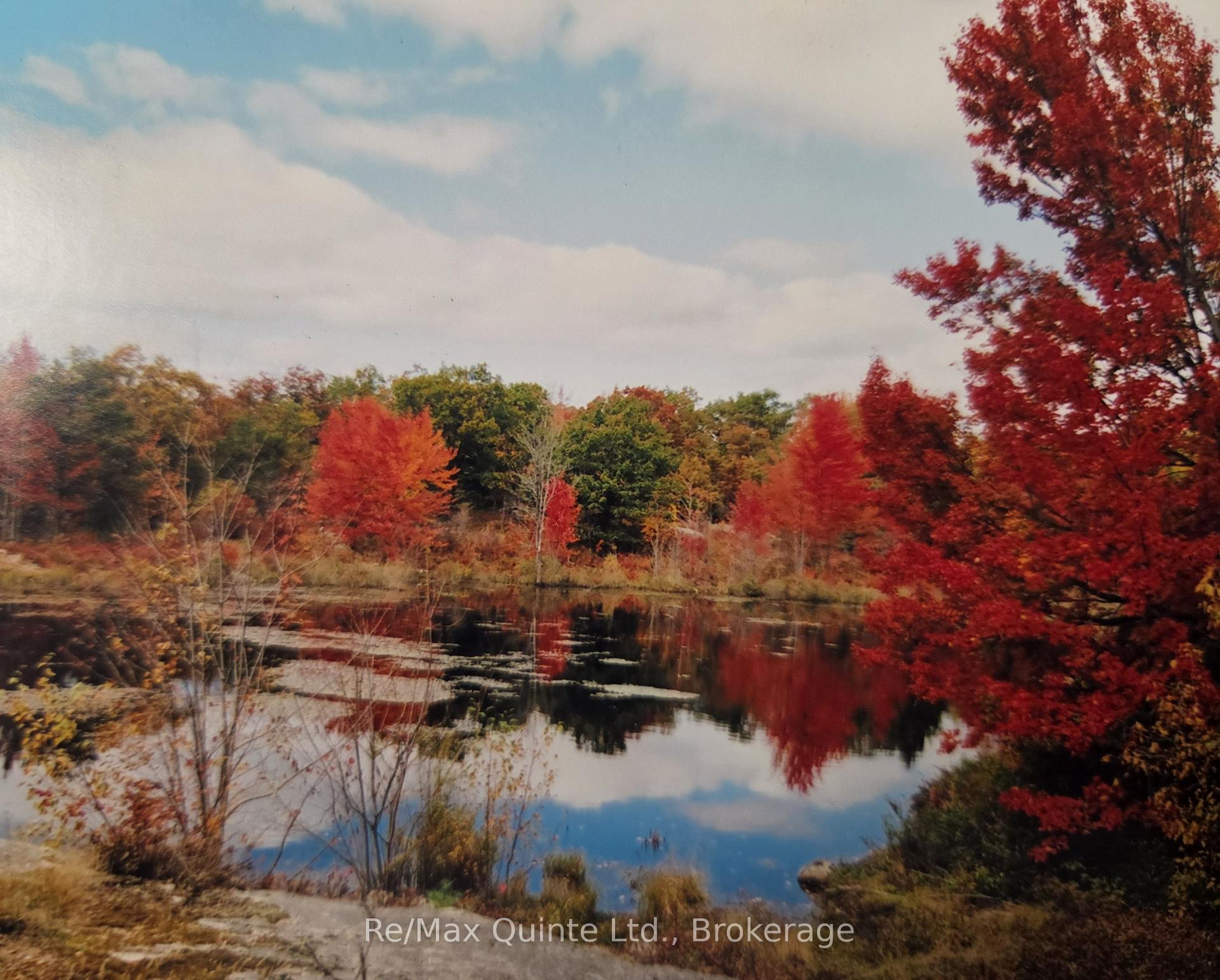Photo 54 of 1477 Sulphide Road, Tweed, Hungerford (Twp) — HOMEH