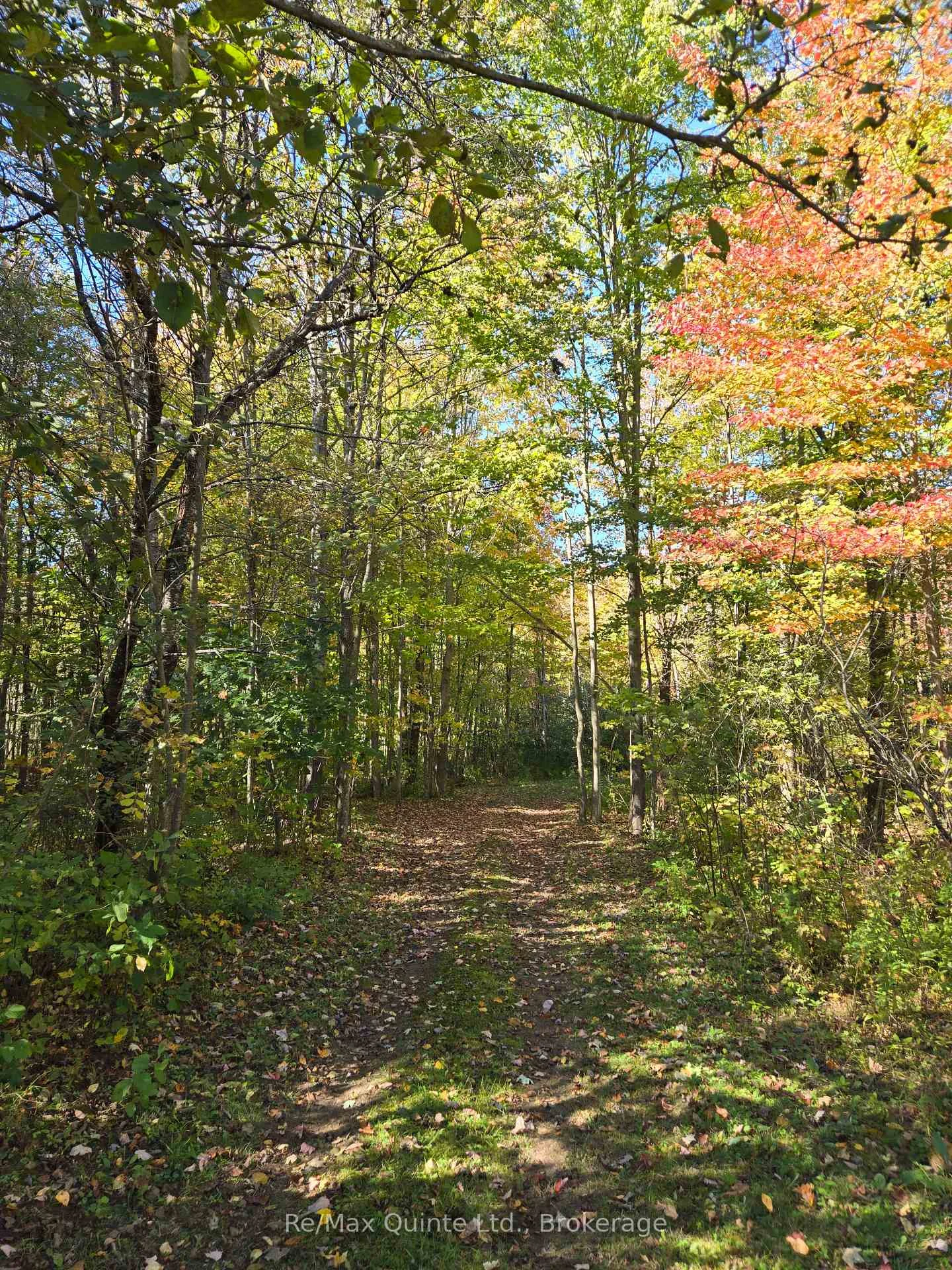 Photo 33 of 1477 Sulphide Road, Tweed, Hungerford (Twp) — HOMEH