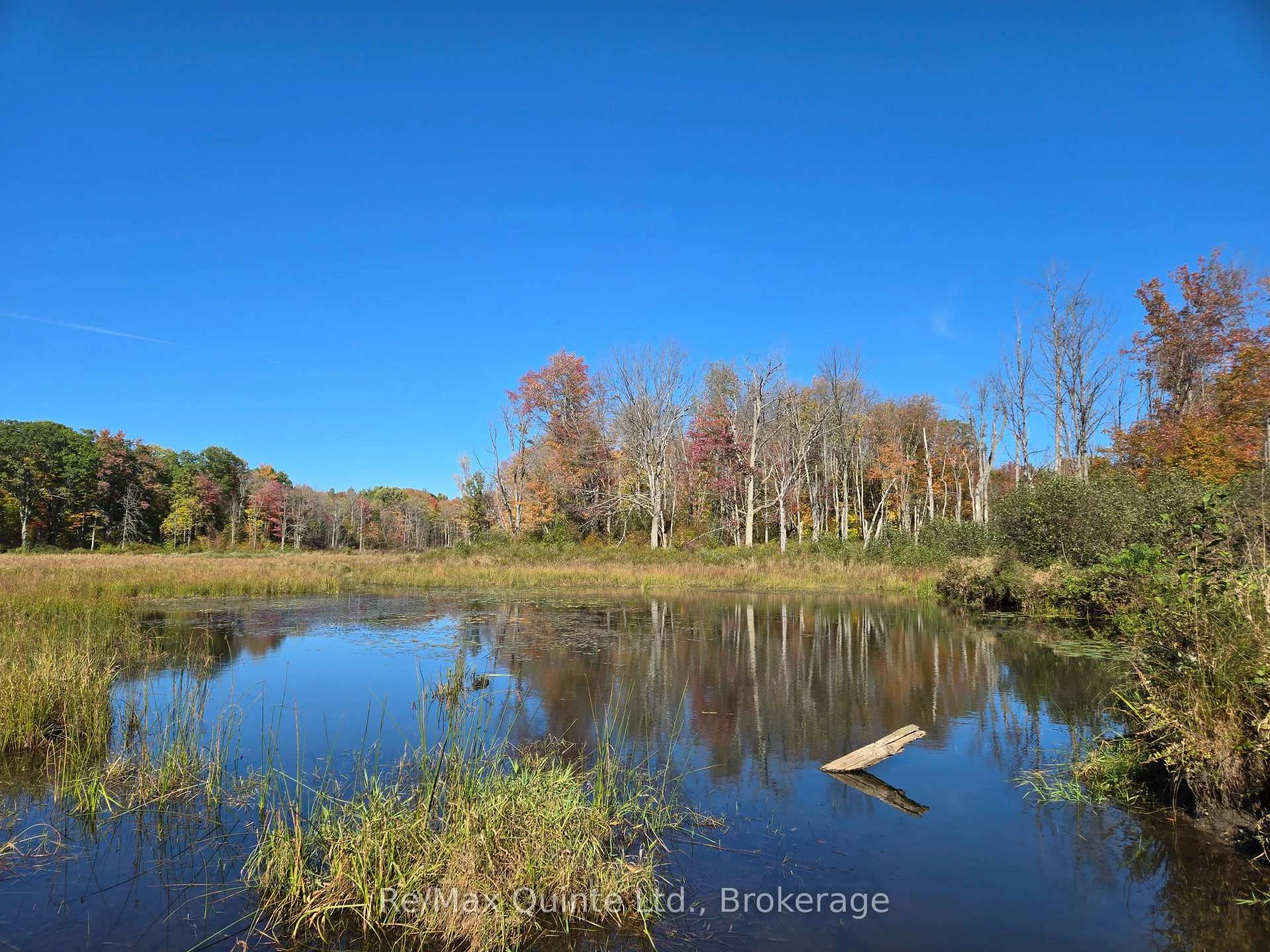 Photo 53 of 1477 Sulphide Road, Tweed, Hungerford (Twp) — HOMEH