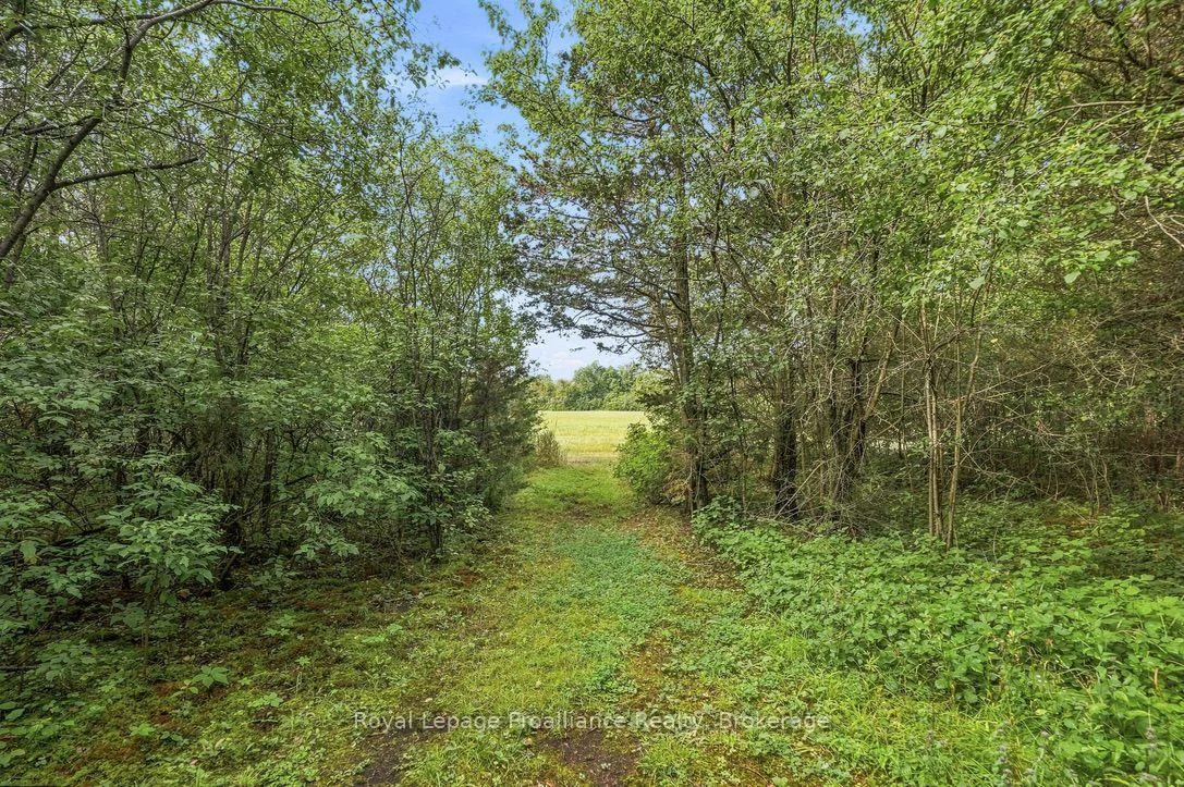 Photo 49 of 2631 62 Highway, Prince Edward County, Sophiasburg Ward — HOMEH