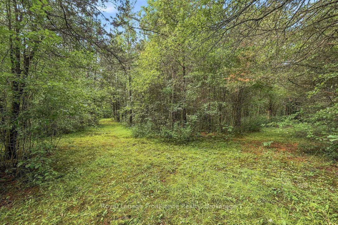 Photo 51 of 2631 62 Highway, Prince Edward County, Sophiasburg Ward — HOMEH