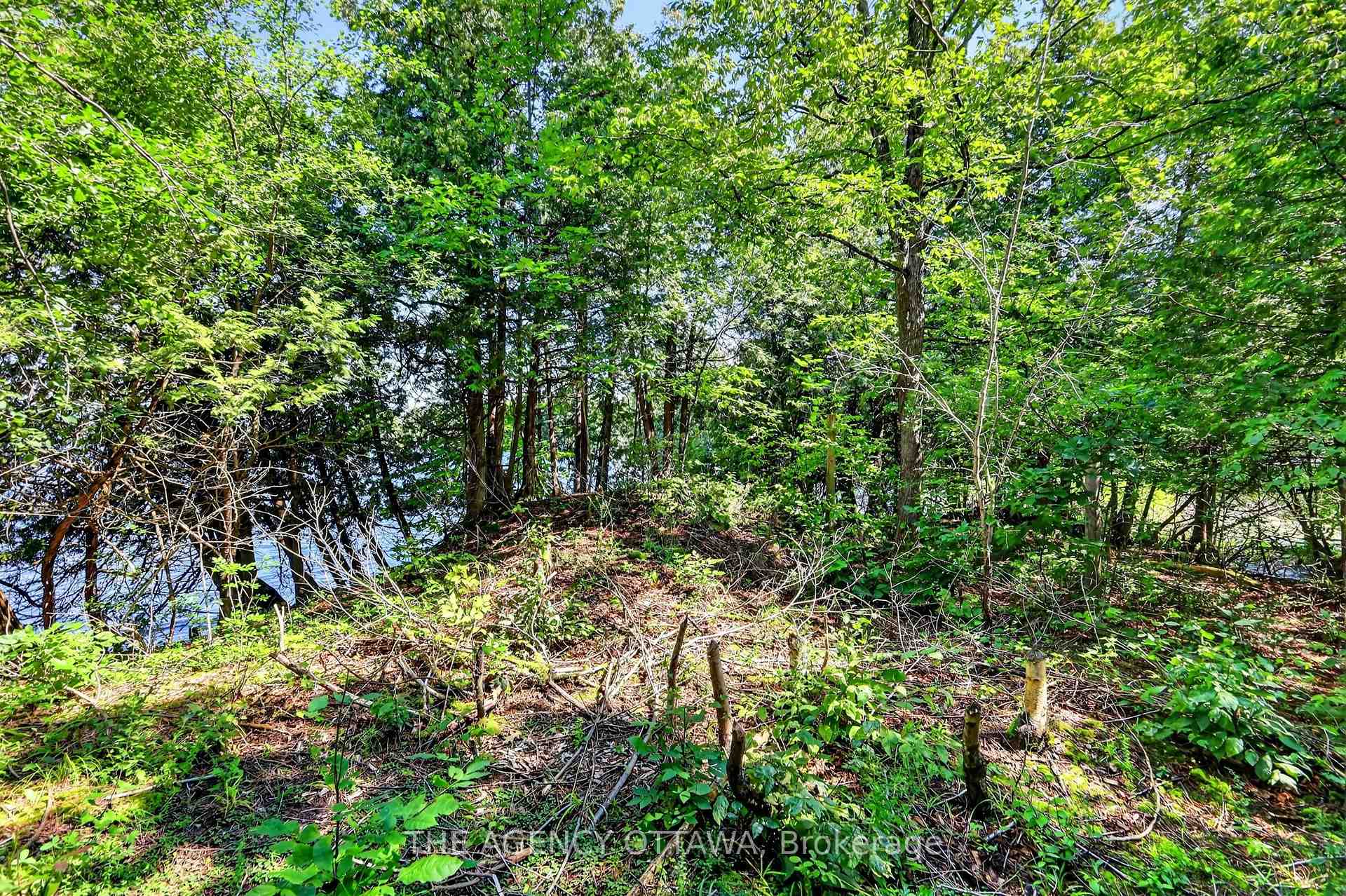 Photo 36 of 00 Piper'S Bay Lane, Rideau Lakes, Rideau Lakes (North Crosby) Twp — HOMEH