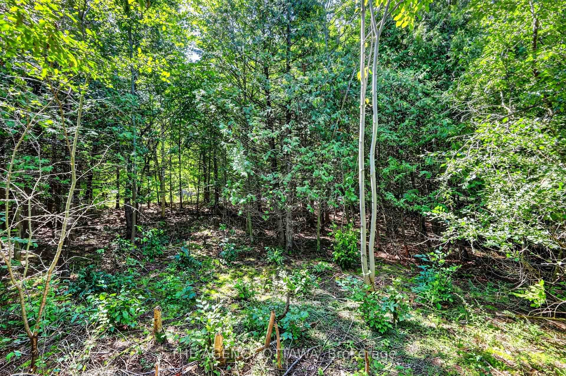 Photo 37 of 00 Piper'S Bay Lane, Rideau Lakes, Rideau Lakes (North Crosby) Twp — HOMEH