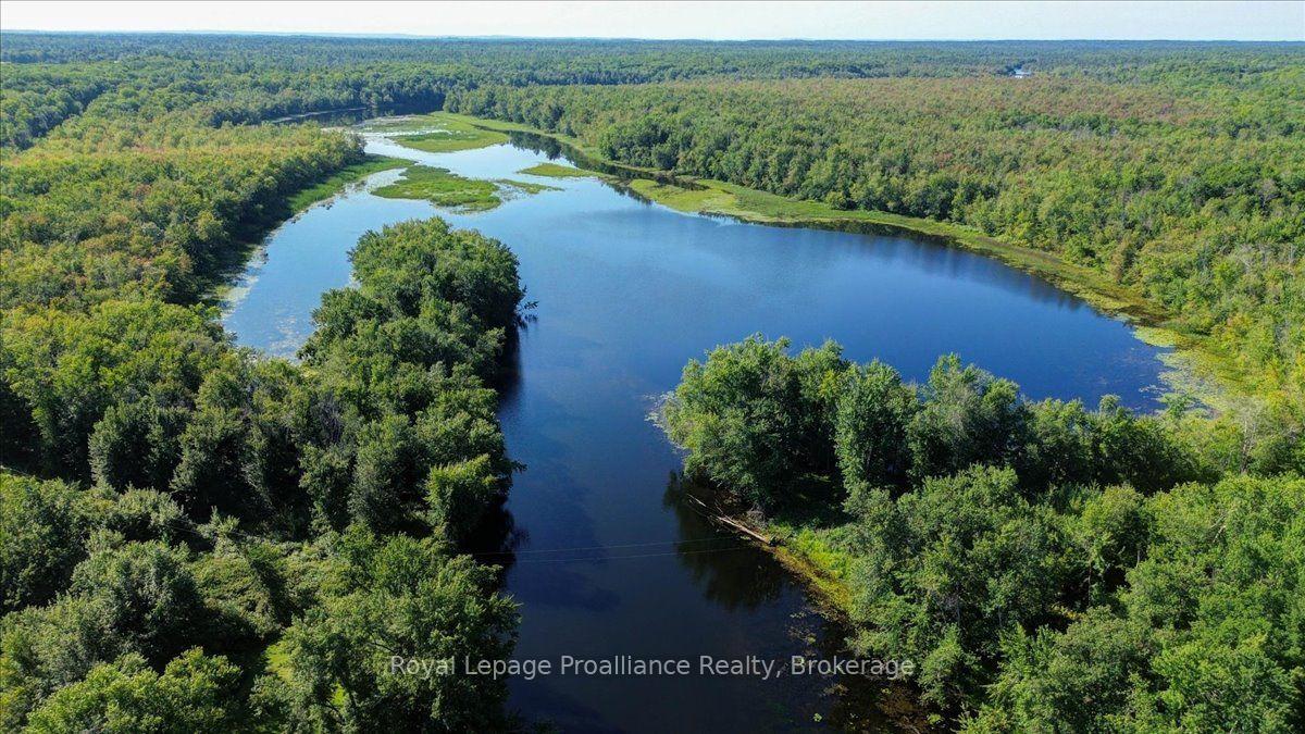 Photo 41 of 87 Cameron Street, Marmora and Lake, Marmora Ward — HOMEH