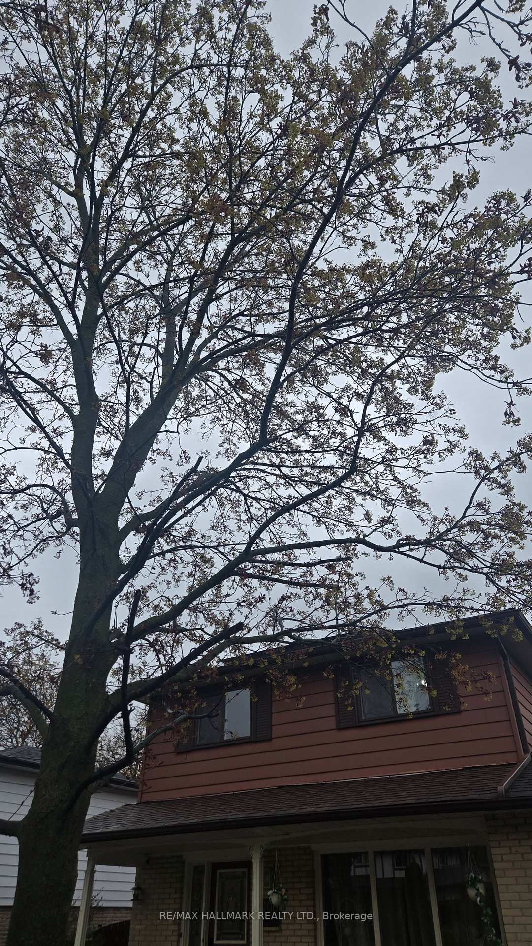 Photo 30 of Unit Lower Level, 106 Springdale Crescent, Oshawa, Donevan — HOMEH