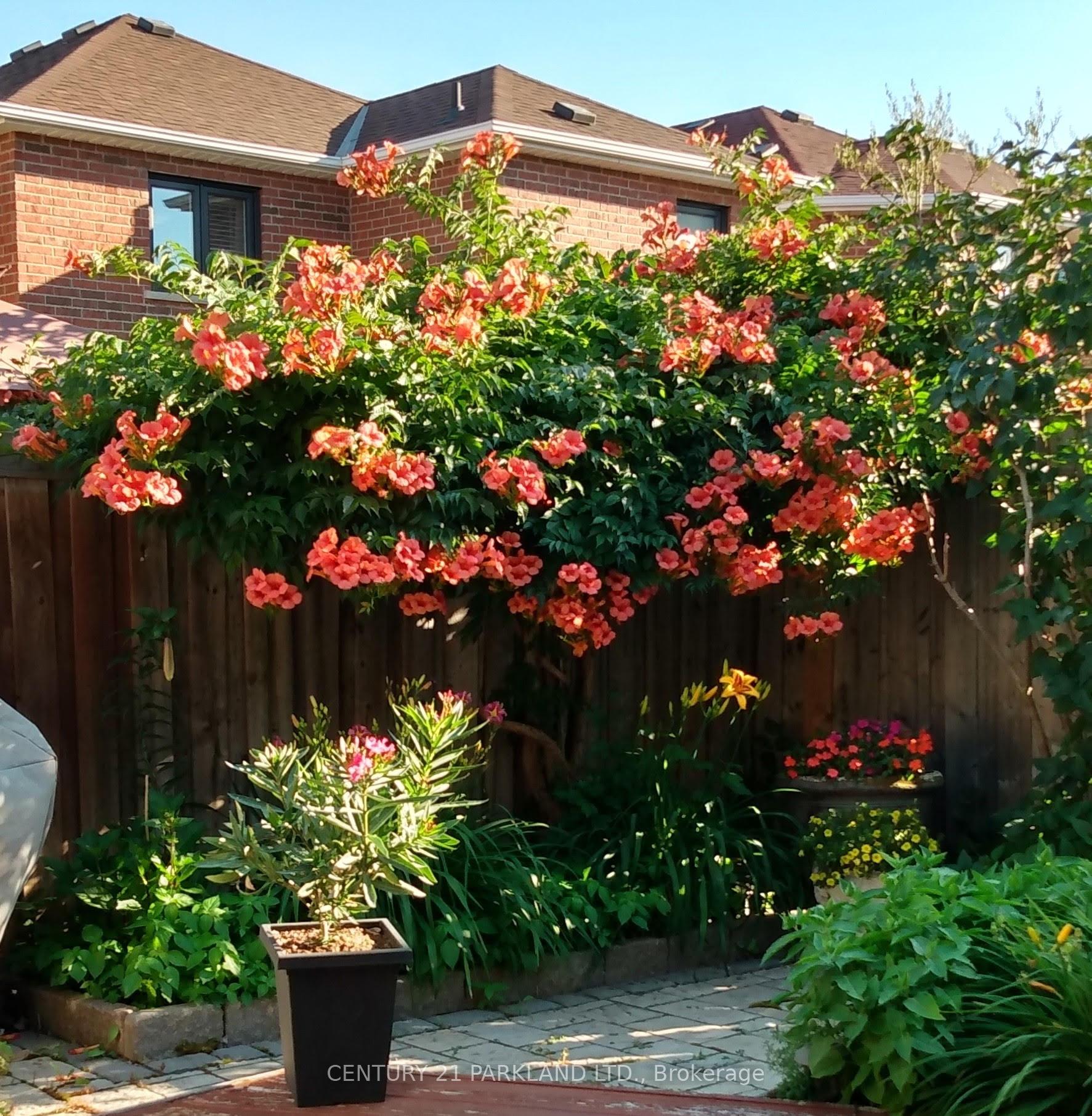 Photo 37 of 181 Purcell Crescent, Vaughan, Maple — HOMEH