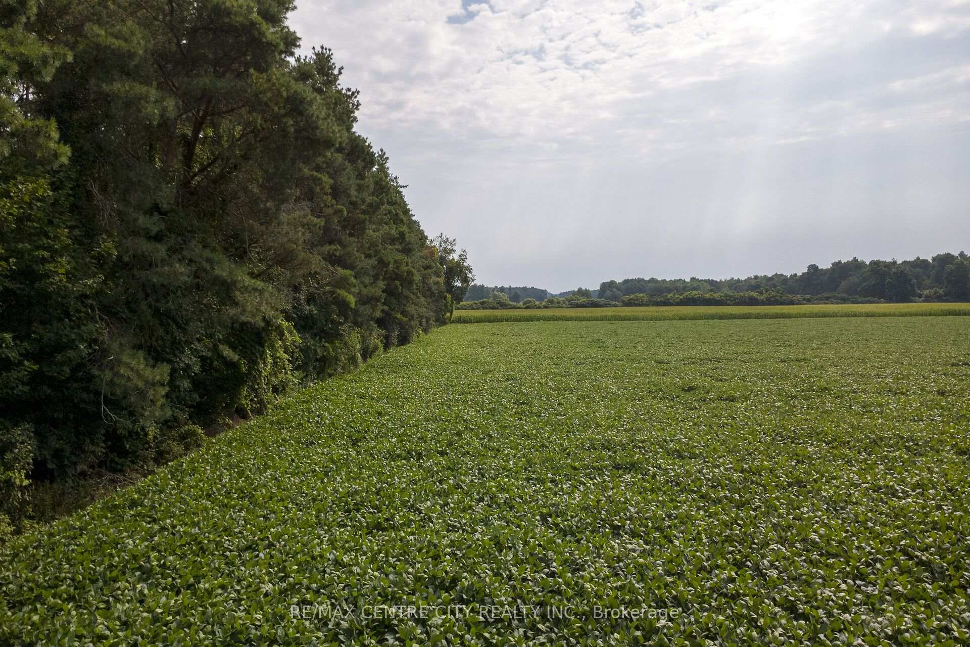 Photo 10 of Lot 14 Concession 7, Norfolk, Townsend — HOMEH