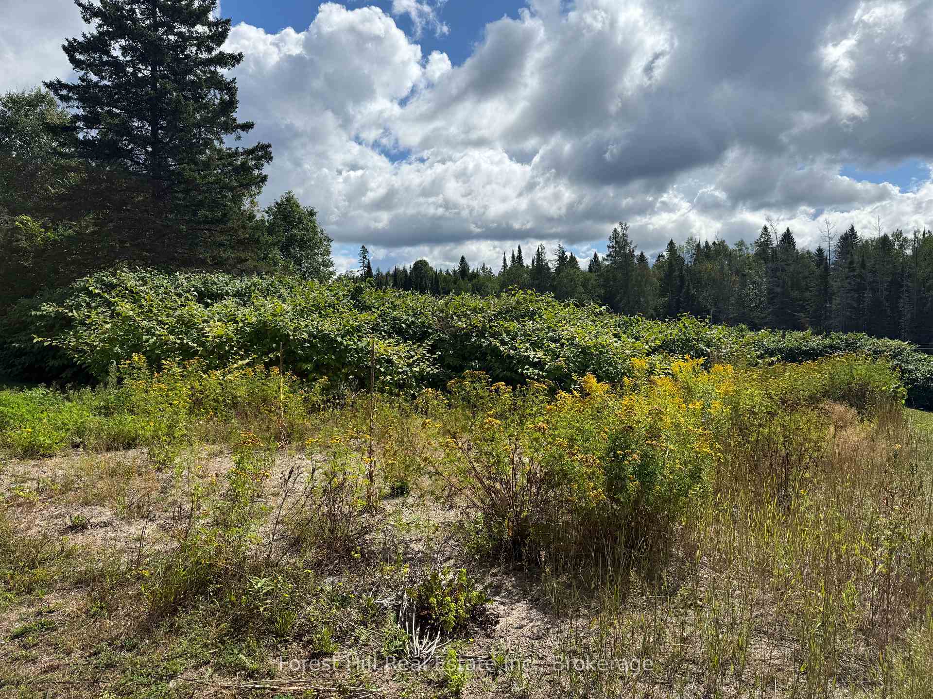 Photo 3 of 14 Rupert Road, Parry Sound Remote Area, Arnstein — HOMEH
